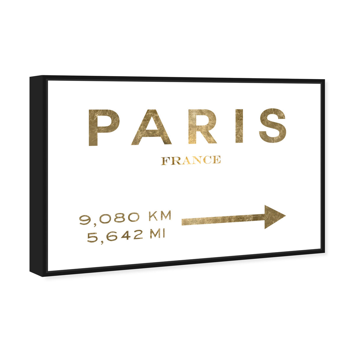 Angled view of Paris Road Sign featuring fashion and glam and road signs art.