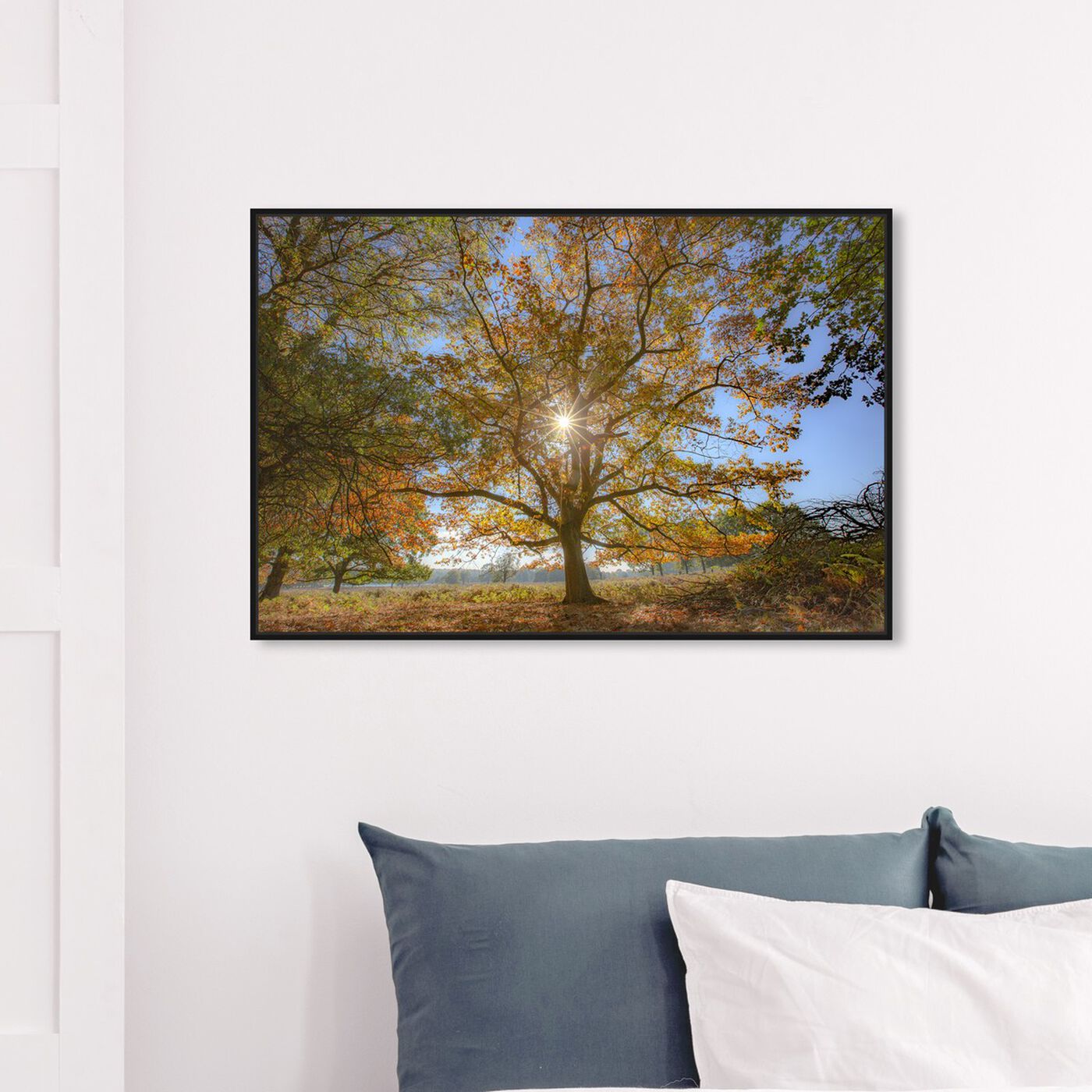 Hanging view of Curro Cardenal - Wisdom Tree featuring nature and landscape and forest landscapes art.