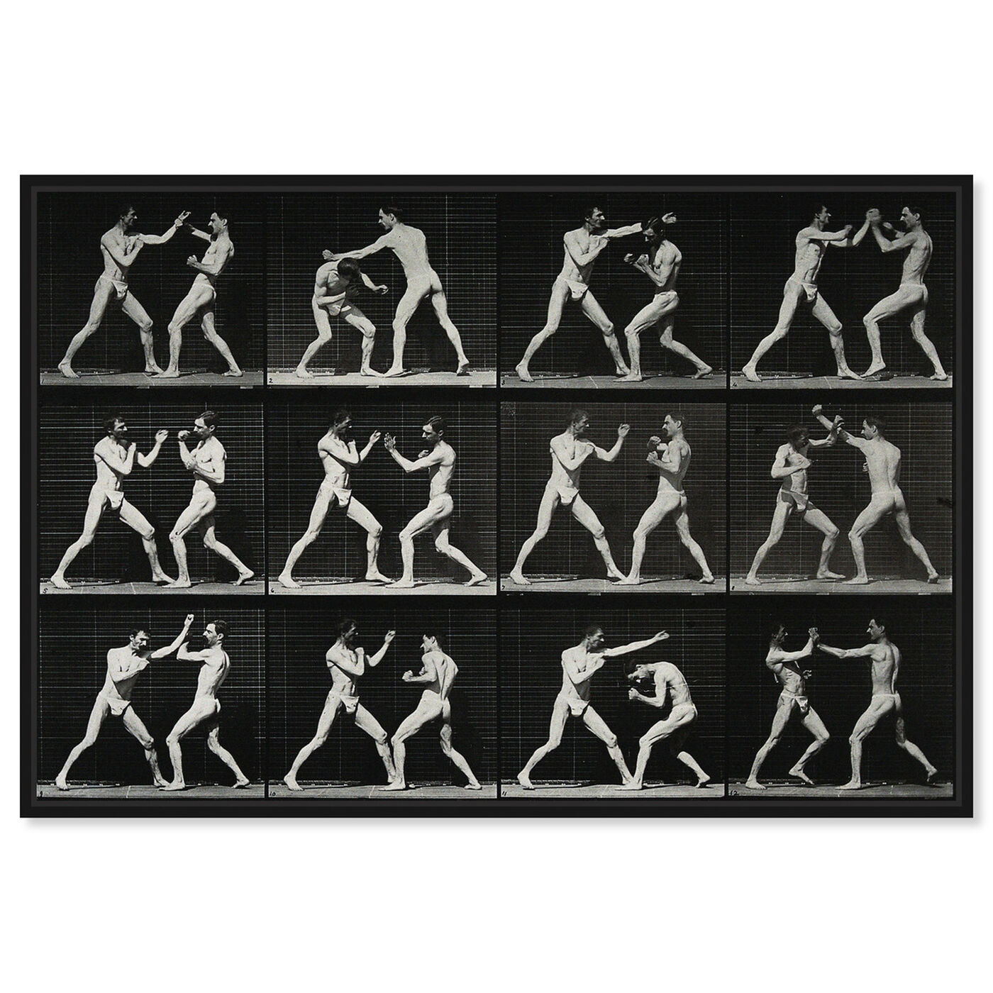 Front view of Muybridge's Boxers featuring sports and teams and boxing art.
