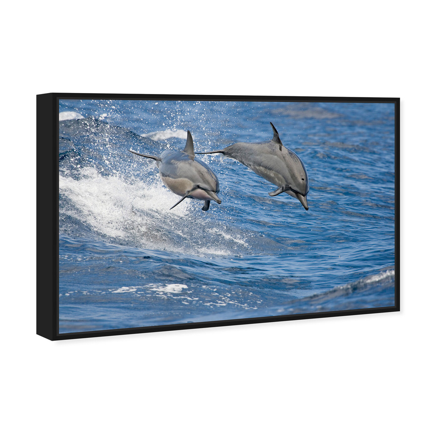 Angled view of Spinner Dolphins Hawaii by David Fleetham featuring nautical and coastal and marine life art.