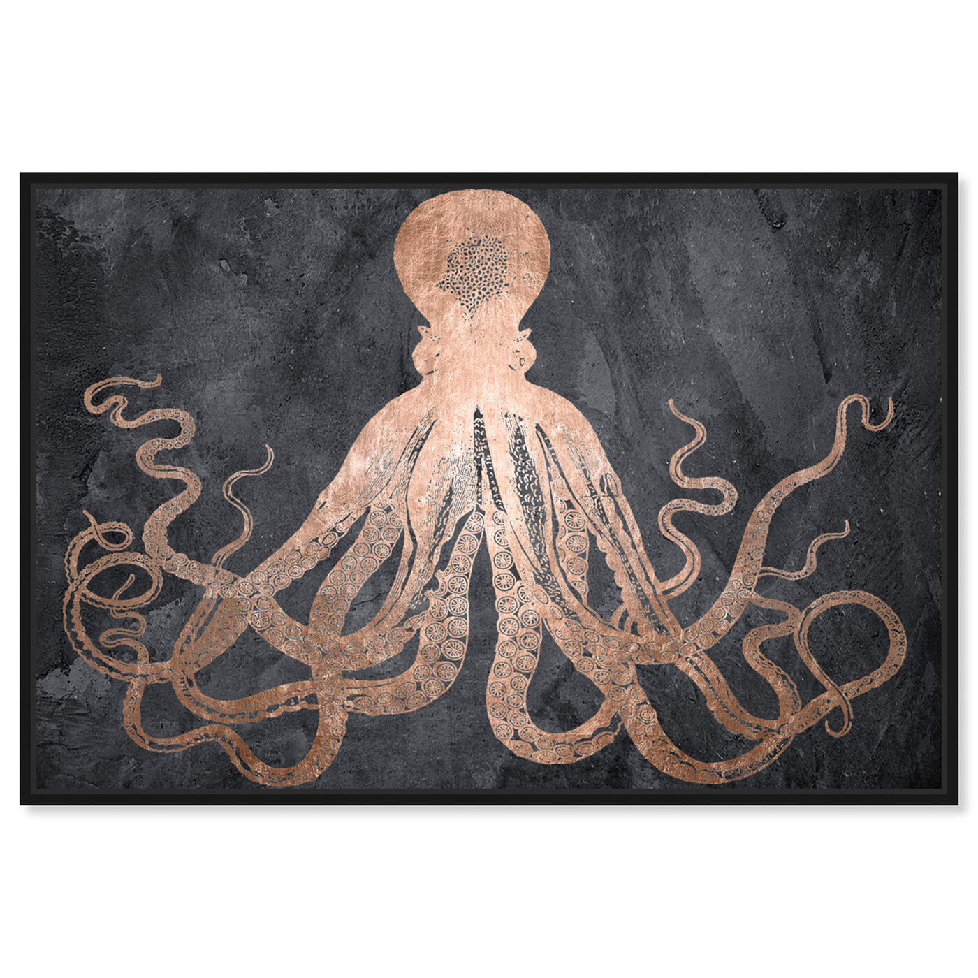 Front view of Squid Copper featuring nautical and coastal and marine life art.