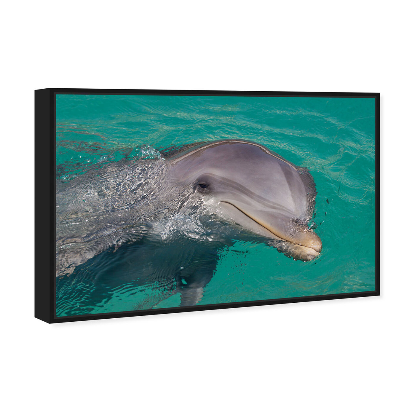 Angled view of Atlantic Bottlenose Dolphin by David Fleetham featuring animals and sea animals art.