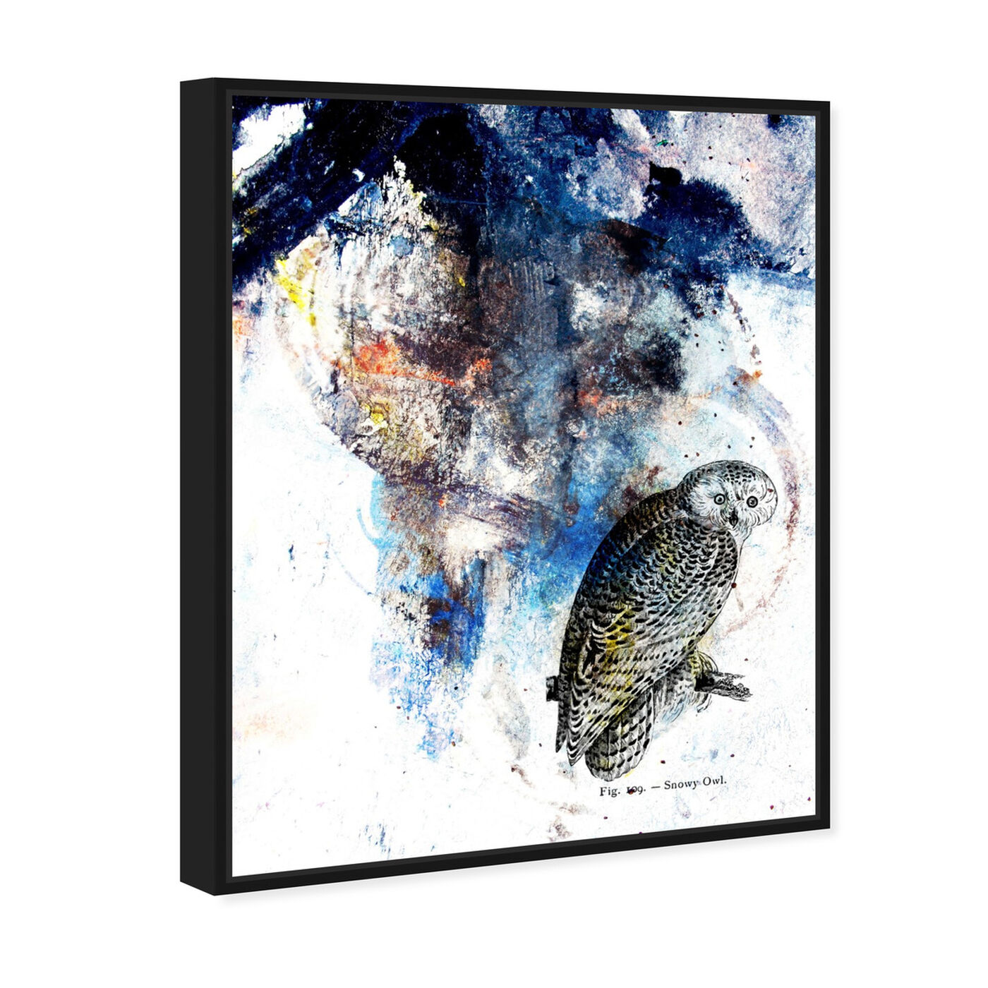 Angled view of Snowy Owl featuring animals and birds art.
