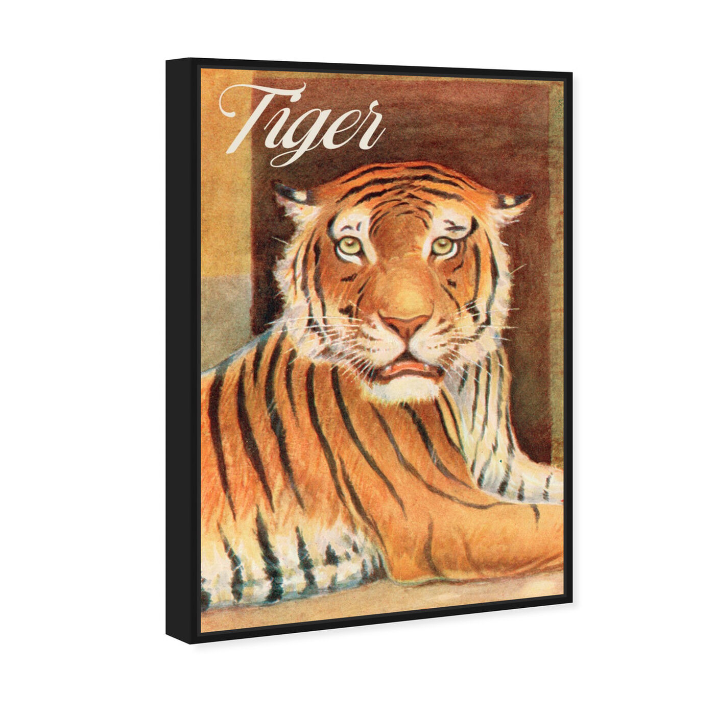 Angled view of Tiger featuring animals and felines art.