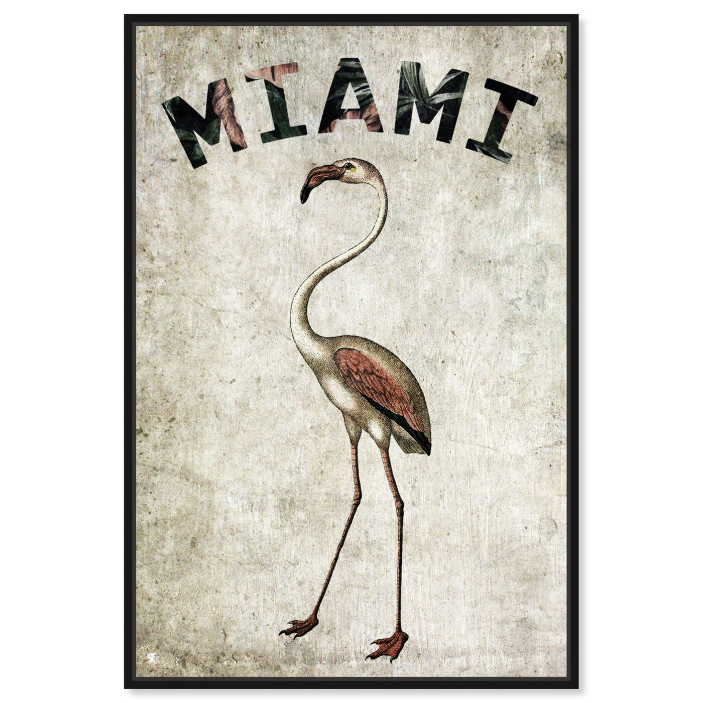 Front view of Miamian Flamingo featuring cities and skylines and united states cities art.