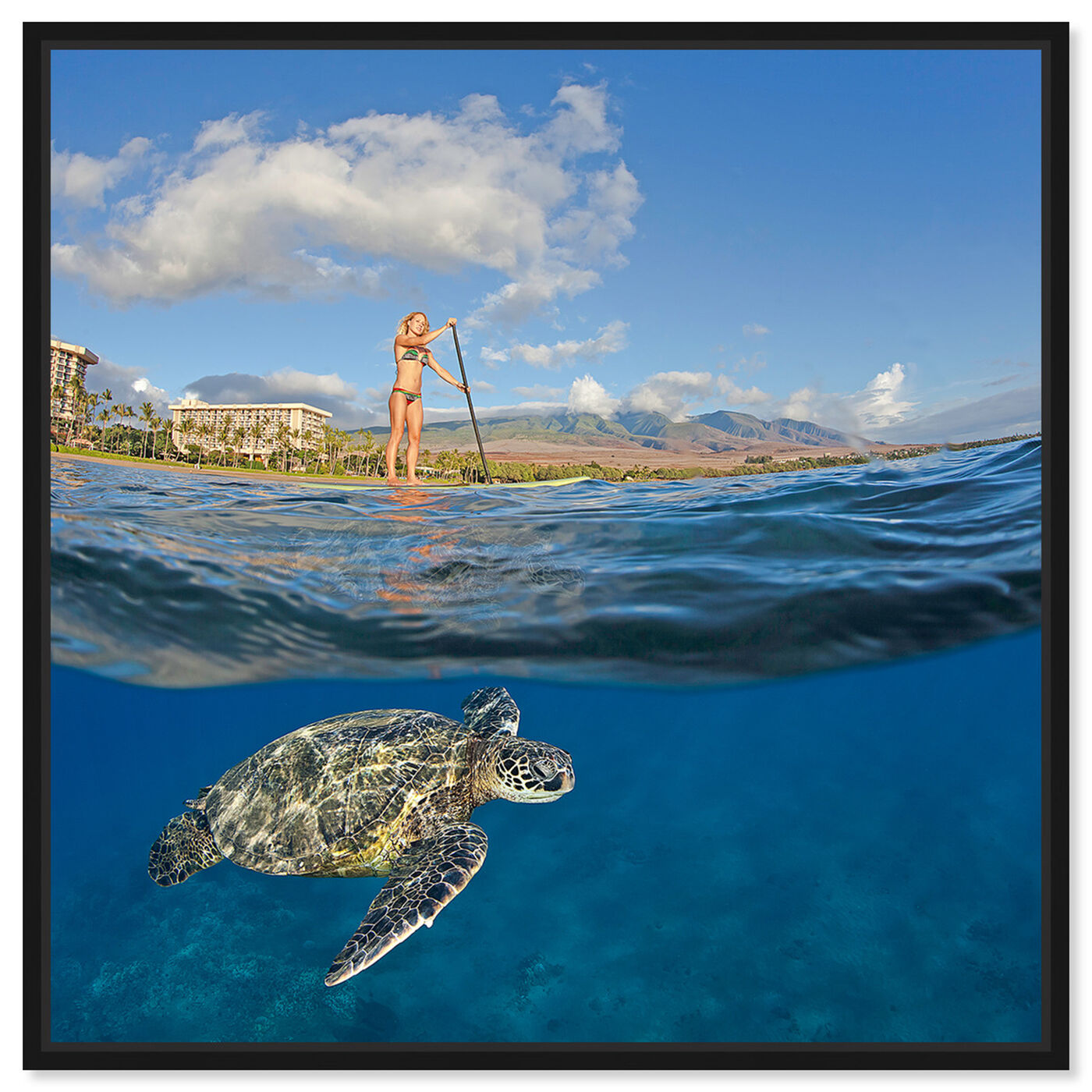 Front view of Sea Turtle and Woman by David Fleetham featuring nautical and coastal and marine life art.