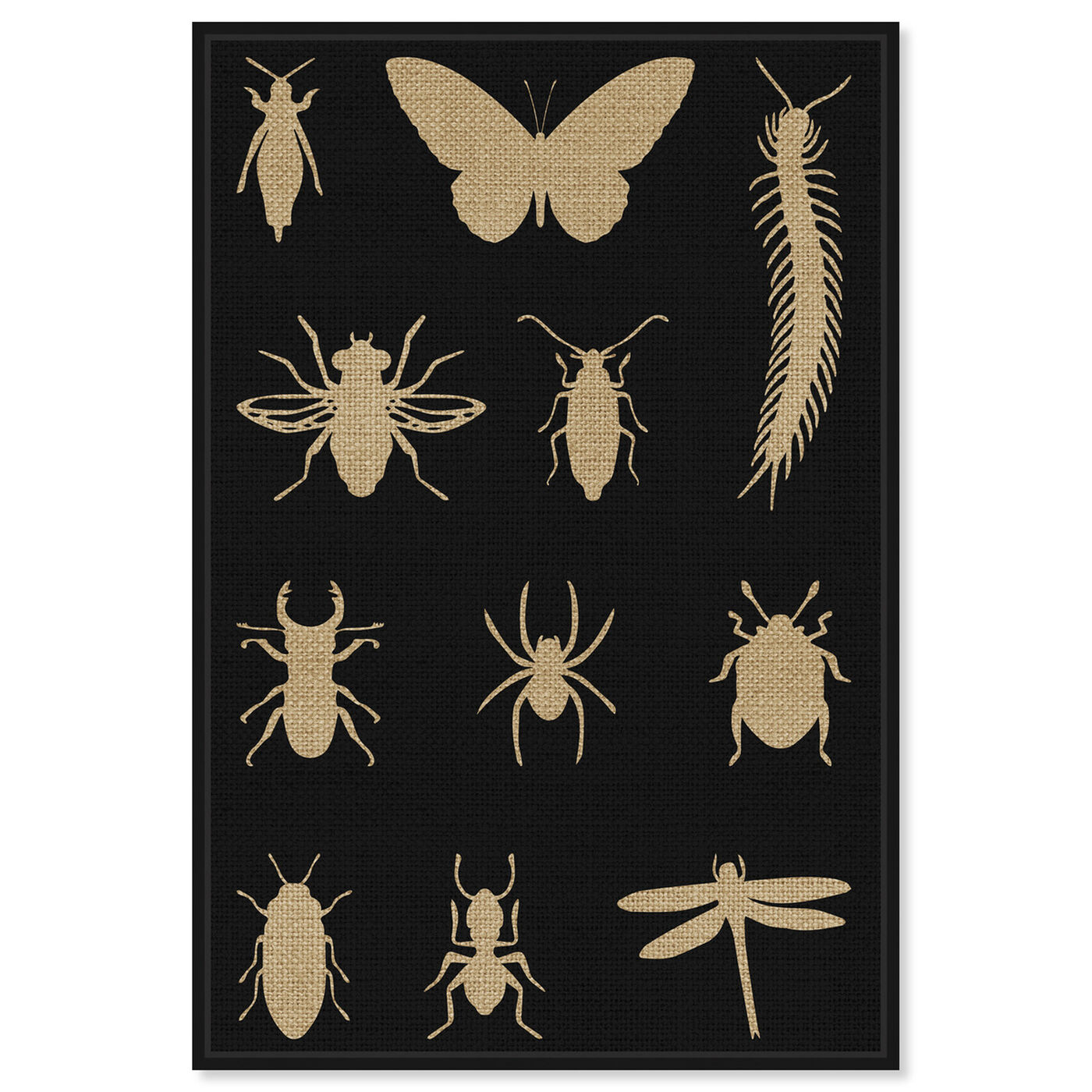 Front view of Black Creepy Crawlies featuring animals and insects art.