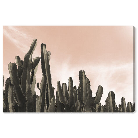 Dream Landscape Cactus Desert