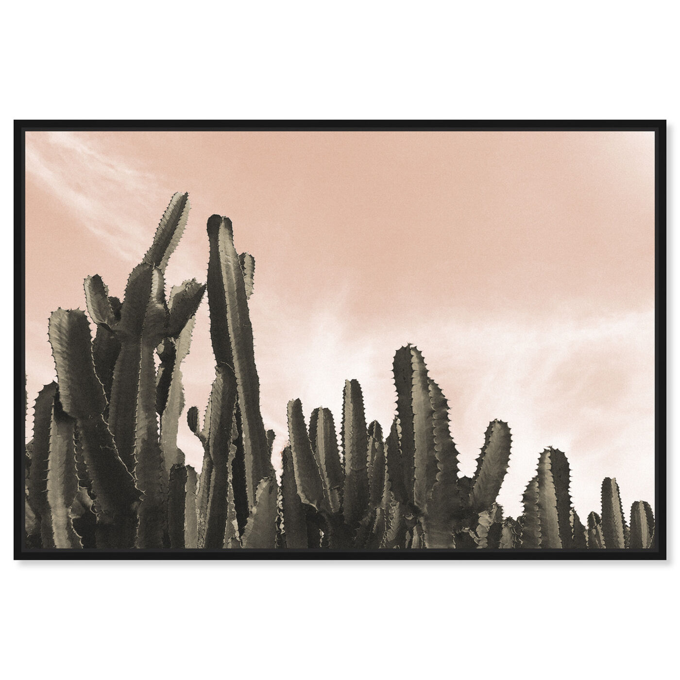 Front view of Dream Landscape Cactus Desert featuring floral and botanical and botanicals art.