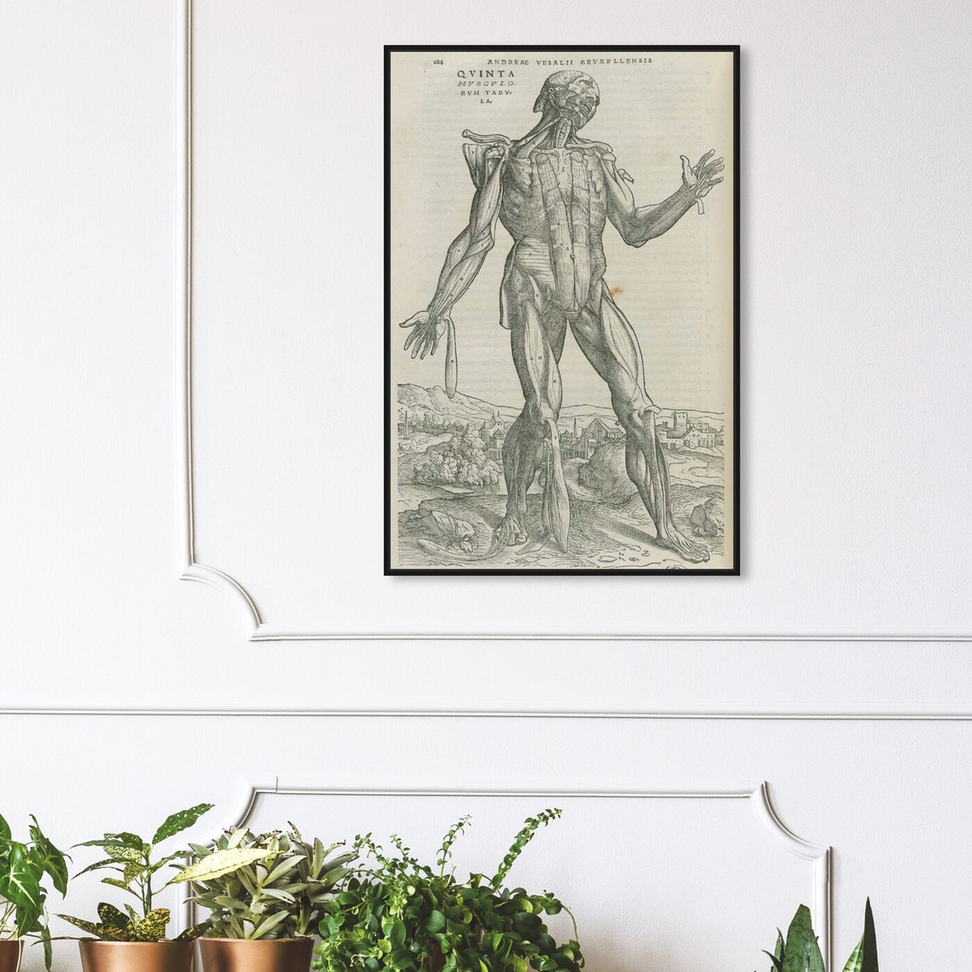 Hanging view of Vesalius II - The Art Cabinet featuring classic and figurative and nudes art.
