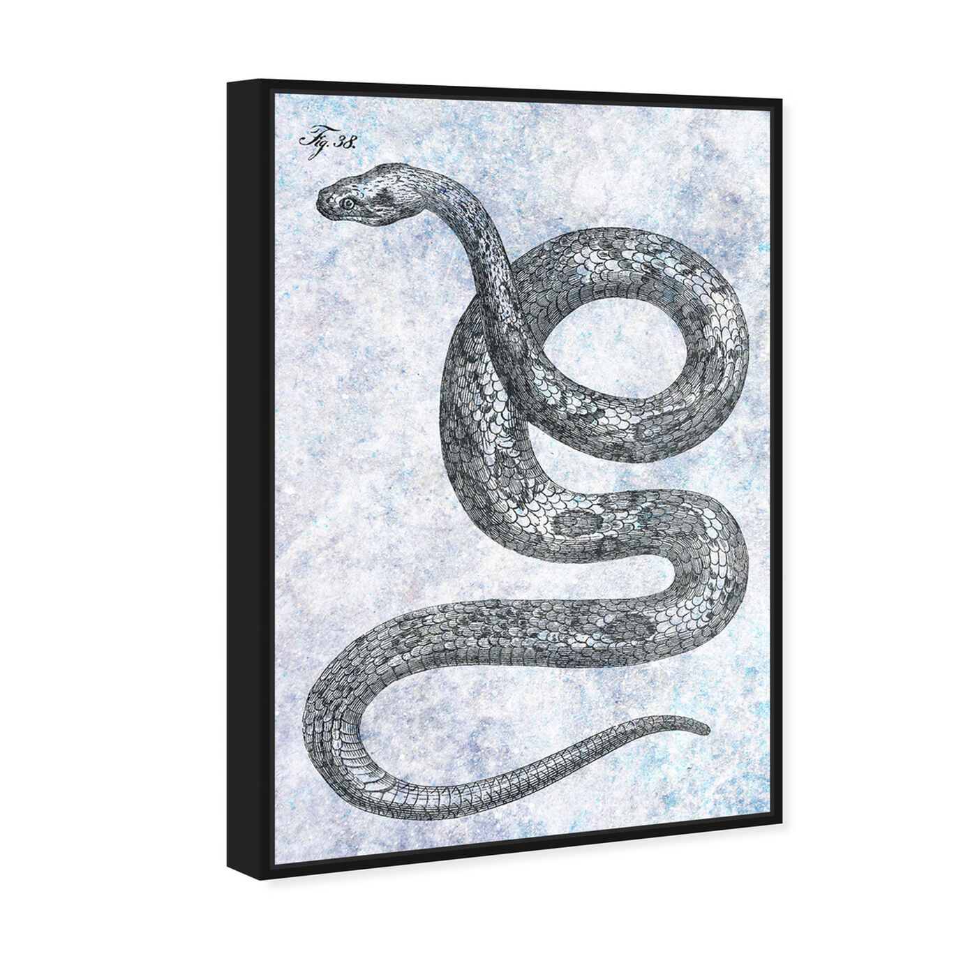 Angled view of Single Snake featuring animals and zoo and wild animals art.