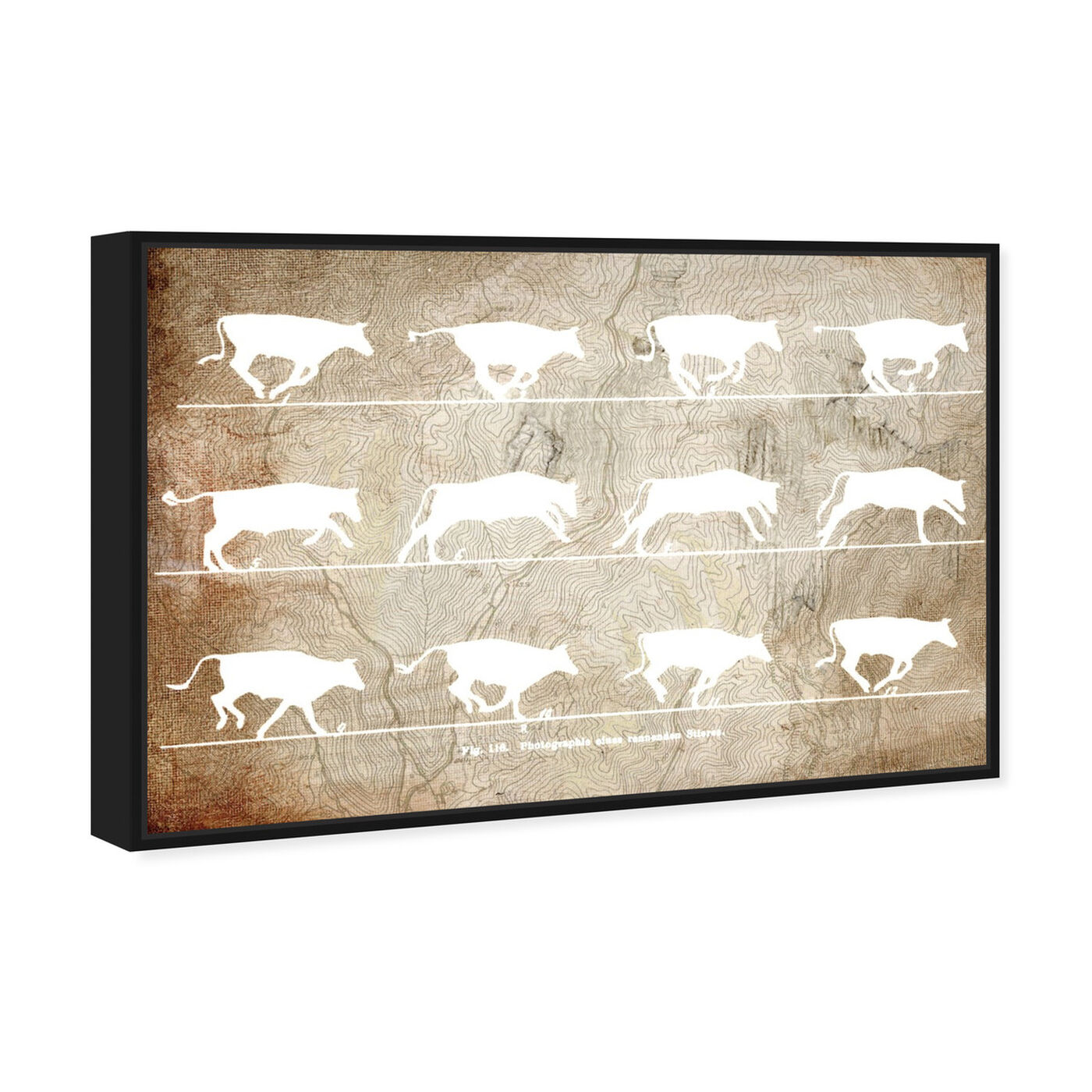 Angled view of Cows in Motion featuring animals and farm animals art.