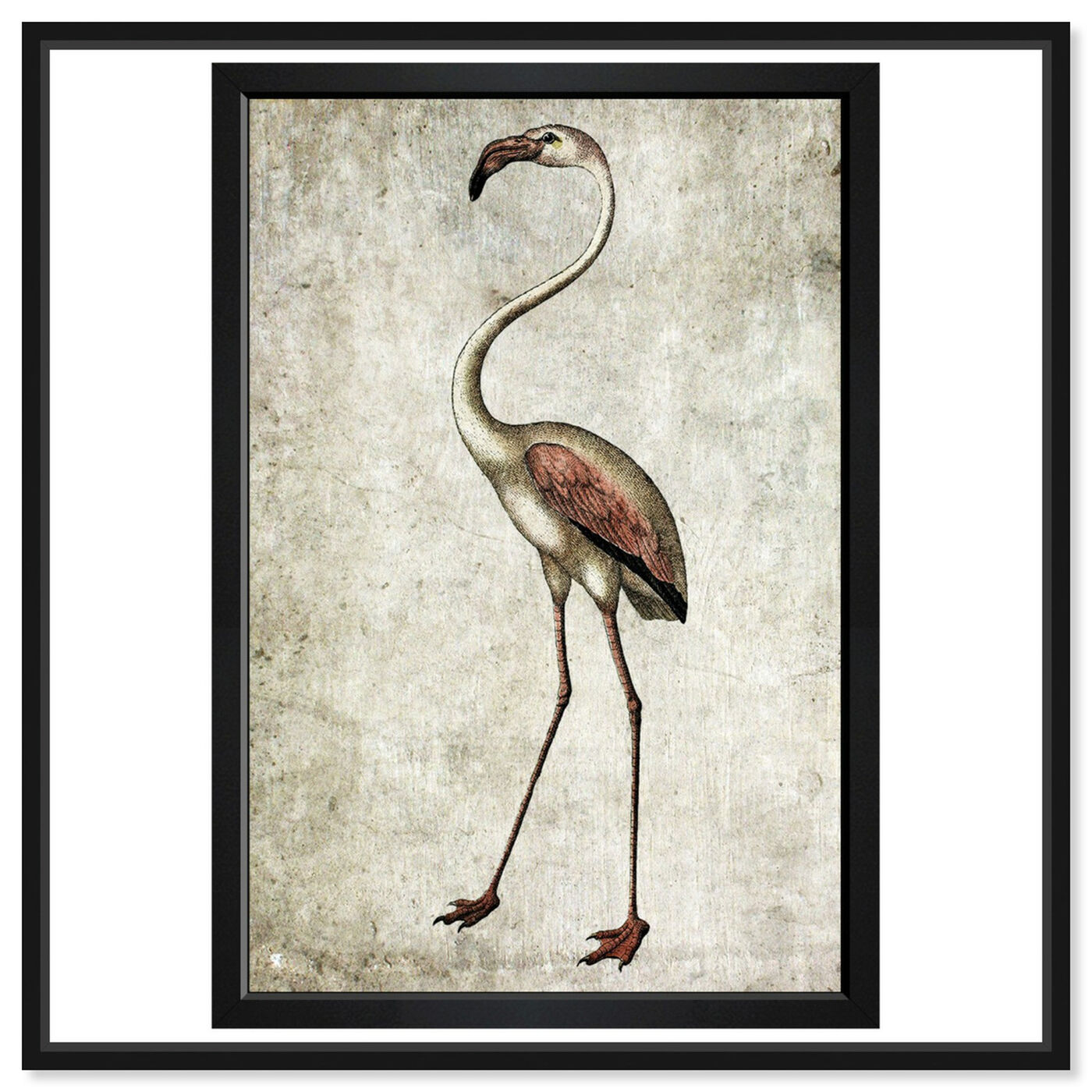 Front view of Vintage Flamingo featuring animals and birds art.
