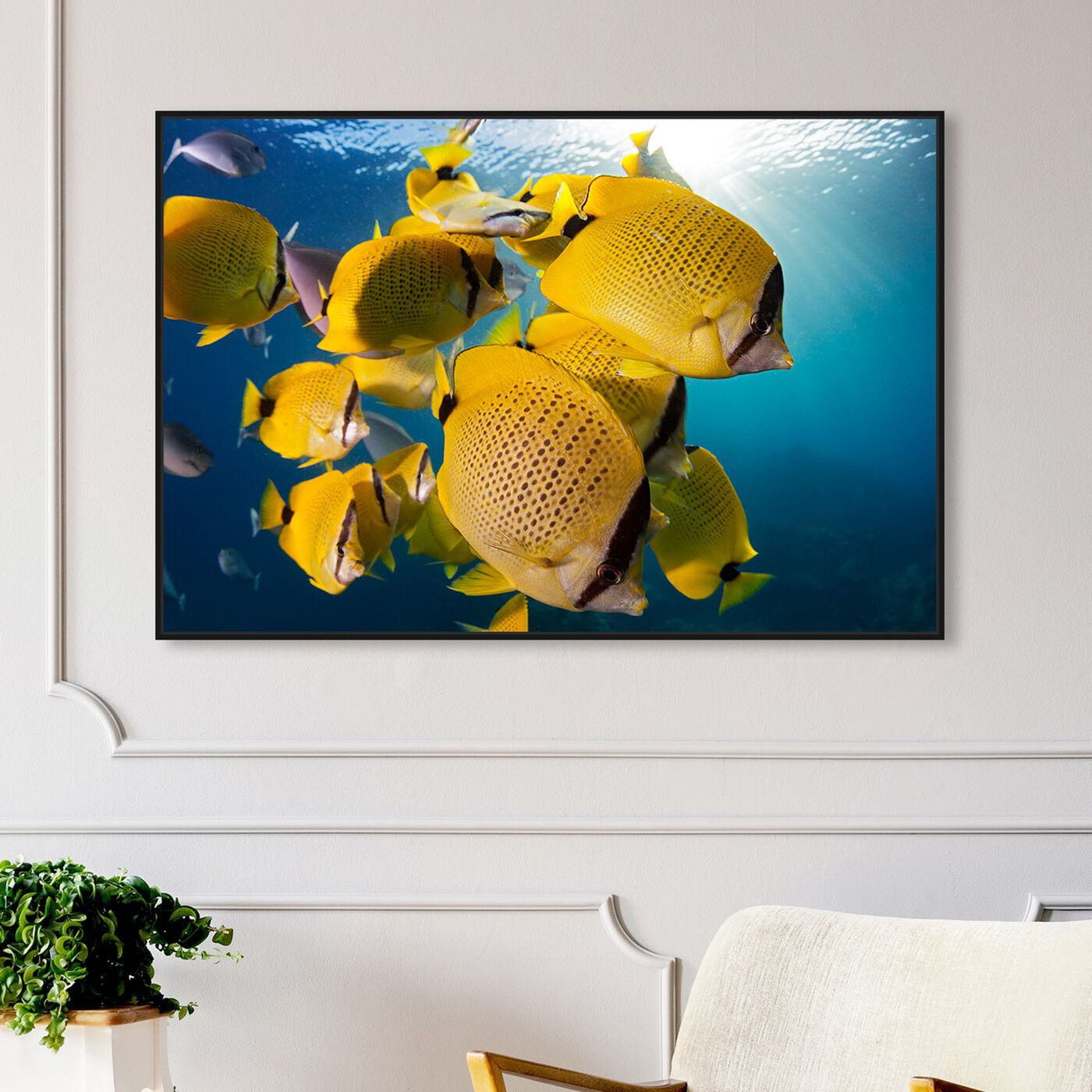 Hanging view of Milletseed Butterflyfish Close Up by David Fleetham featuring nautical and coastal and marine life art.