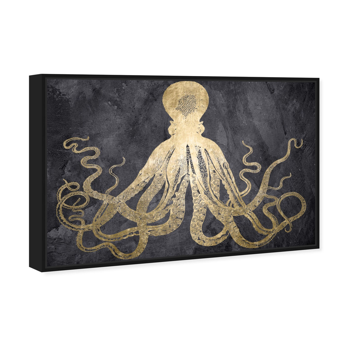 Angled view of Squid Gold featuring animals and sea animals art.