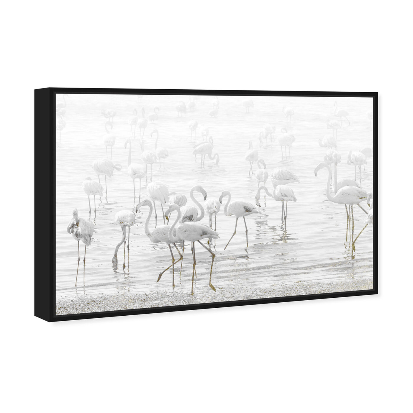 Angled view of White Feather Flamingos featuring animals and birds art.