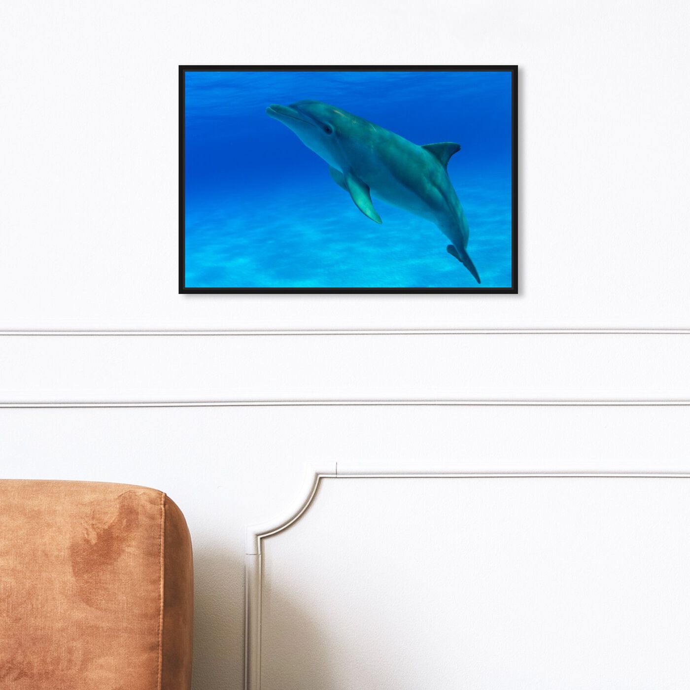 Hanging view of Bottlenose Dolphin Bahamas by David Fleetham featuring nautical and coastal and marine life art.