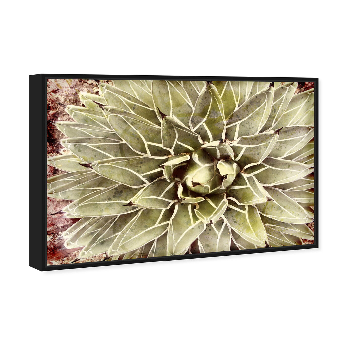 Angled view of Cactus Flower featuring floral and botanical and botanicals art.