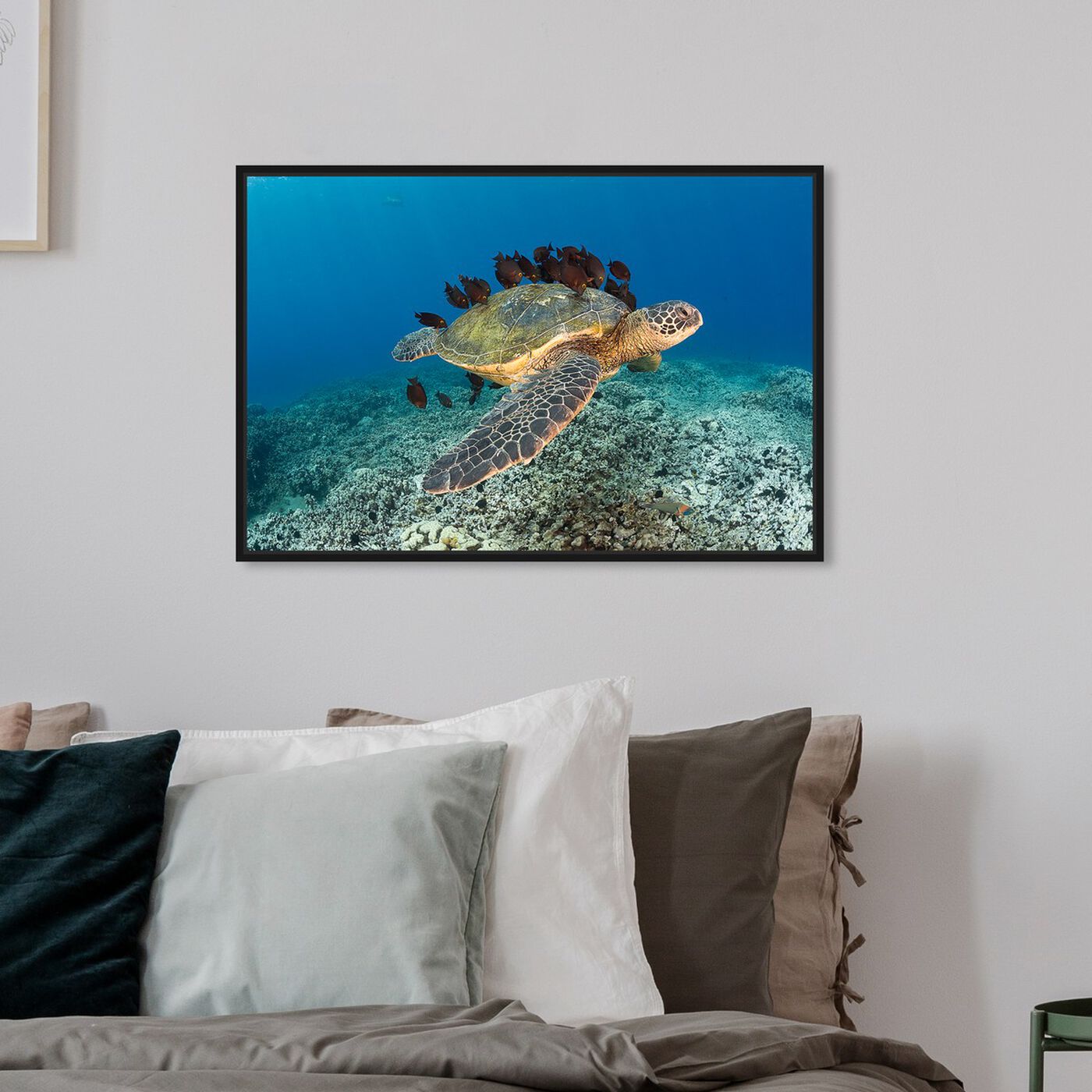 Hanging view of Sea Turtle and Fish by David Fleetham featuring nautical and coastal and marine life art.