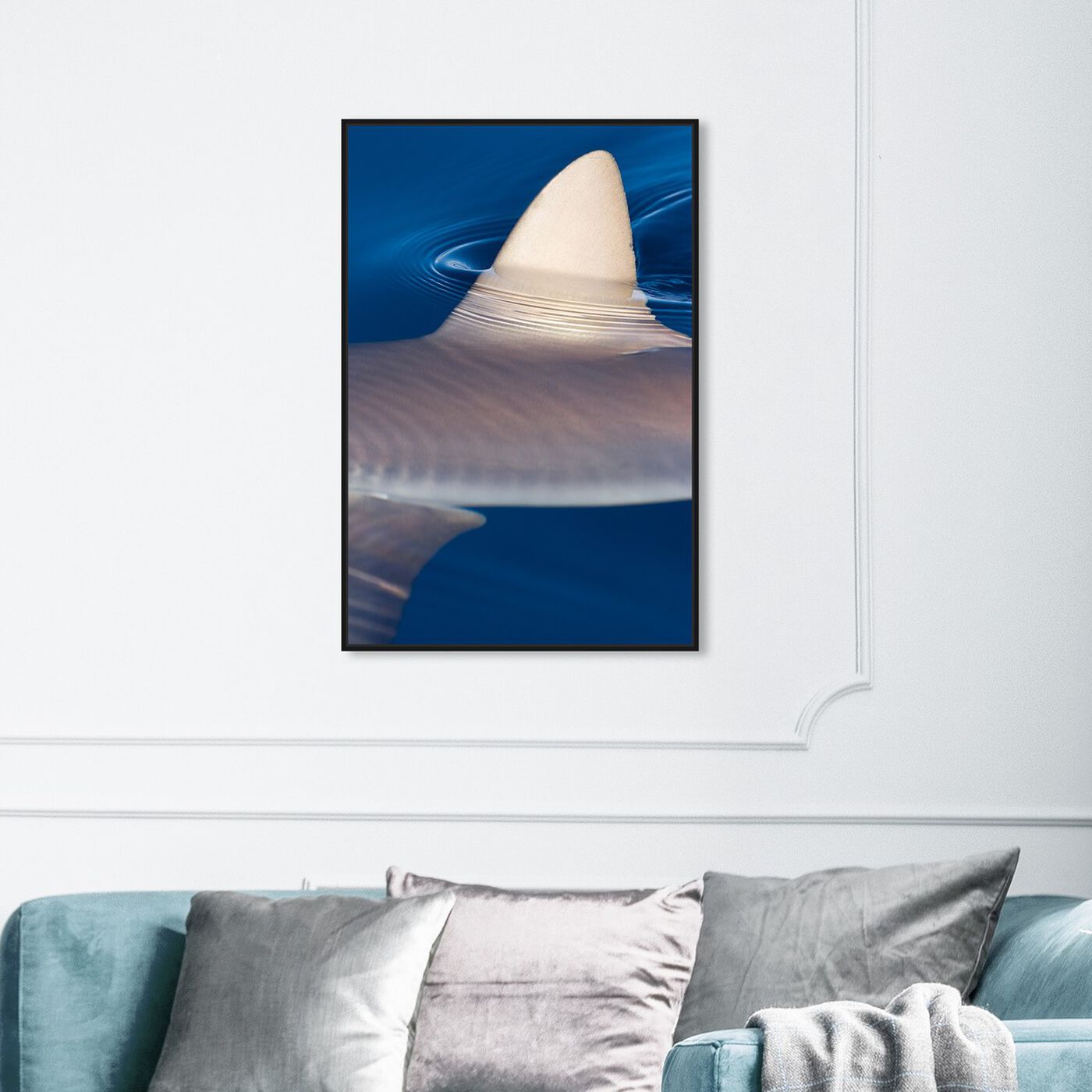 Hanging view of Gray Reef Shark by David Fleetham featuring nautical and coastal and marine life art.