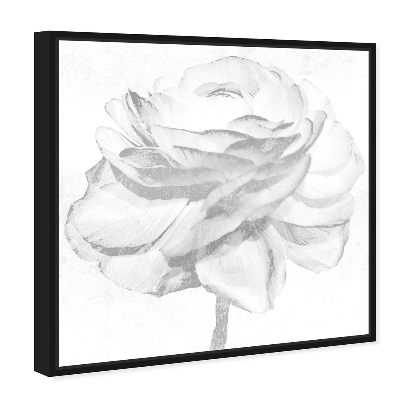 Angled view of White Silver Peony featuring floral and botanical and florals art.