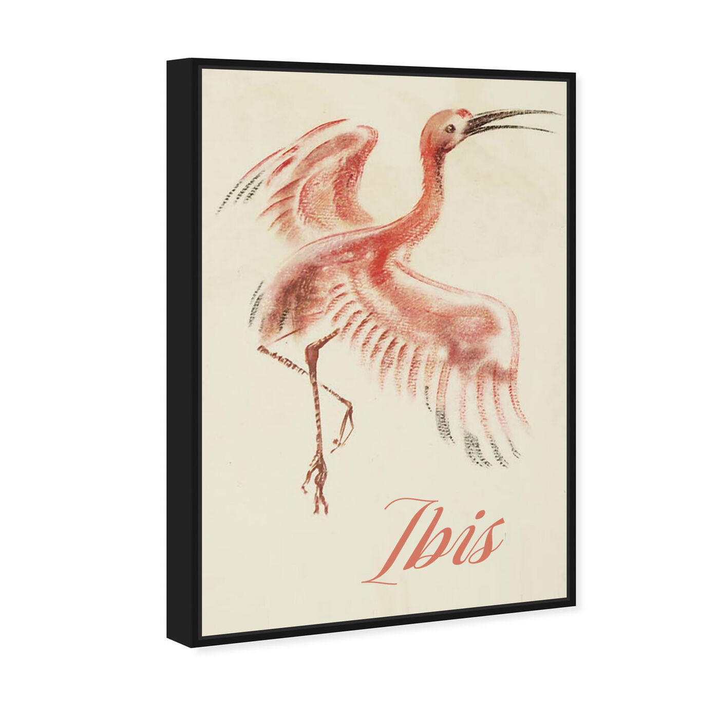 Angled view of Ibis featuring animals and birds art.