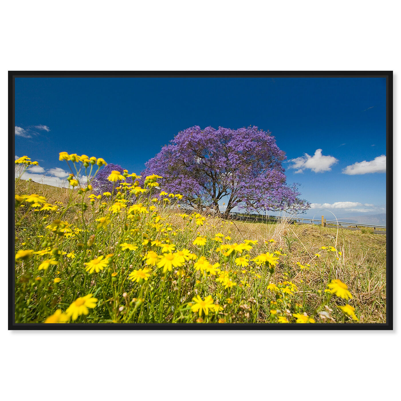 Front view of Jacaranda Tree by David Fleetham featuring nature and landscape and country landscapes art.