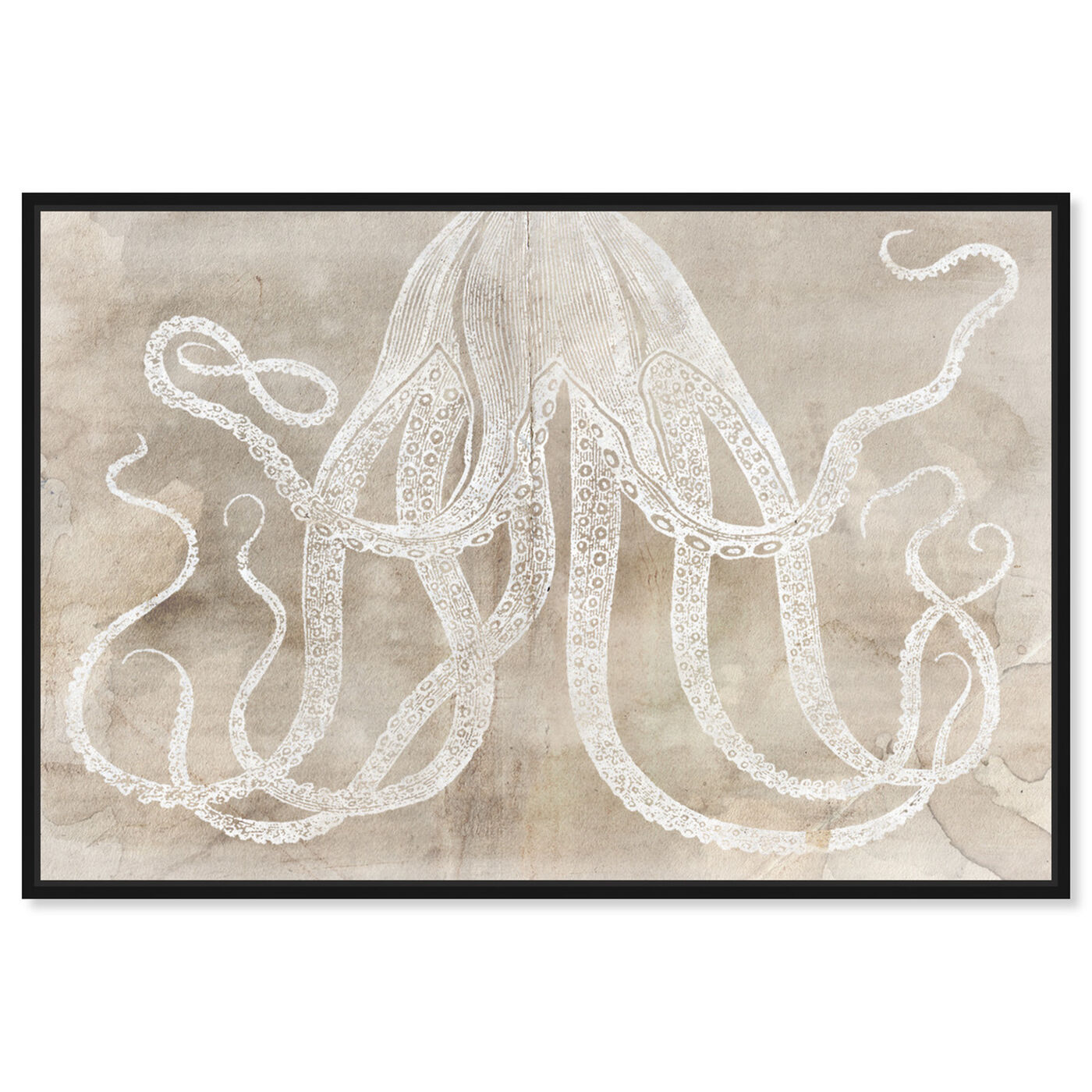 Front view of Octopus Paper featuring nautical and coastal and marine life art.