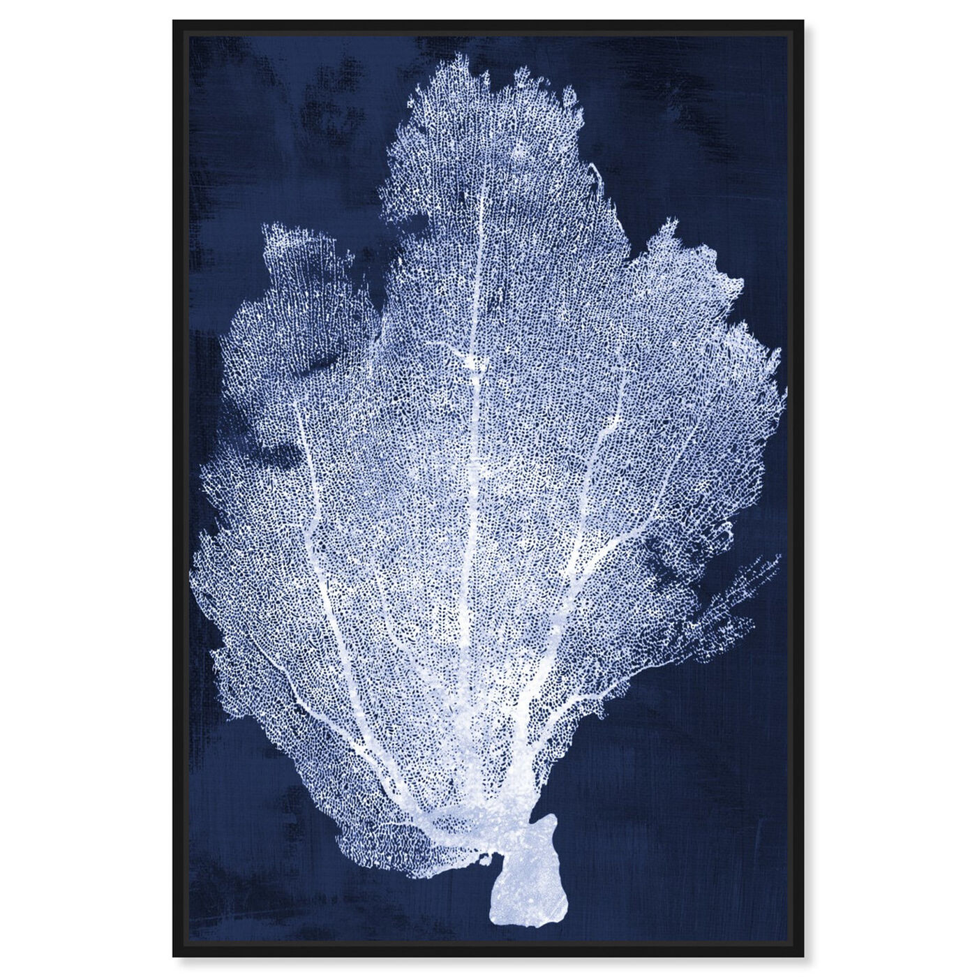 Front view of Coral Fan Cyanotype 2 featuring nautical and coastal and marine life art.