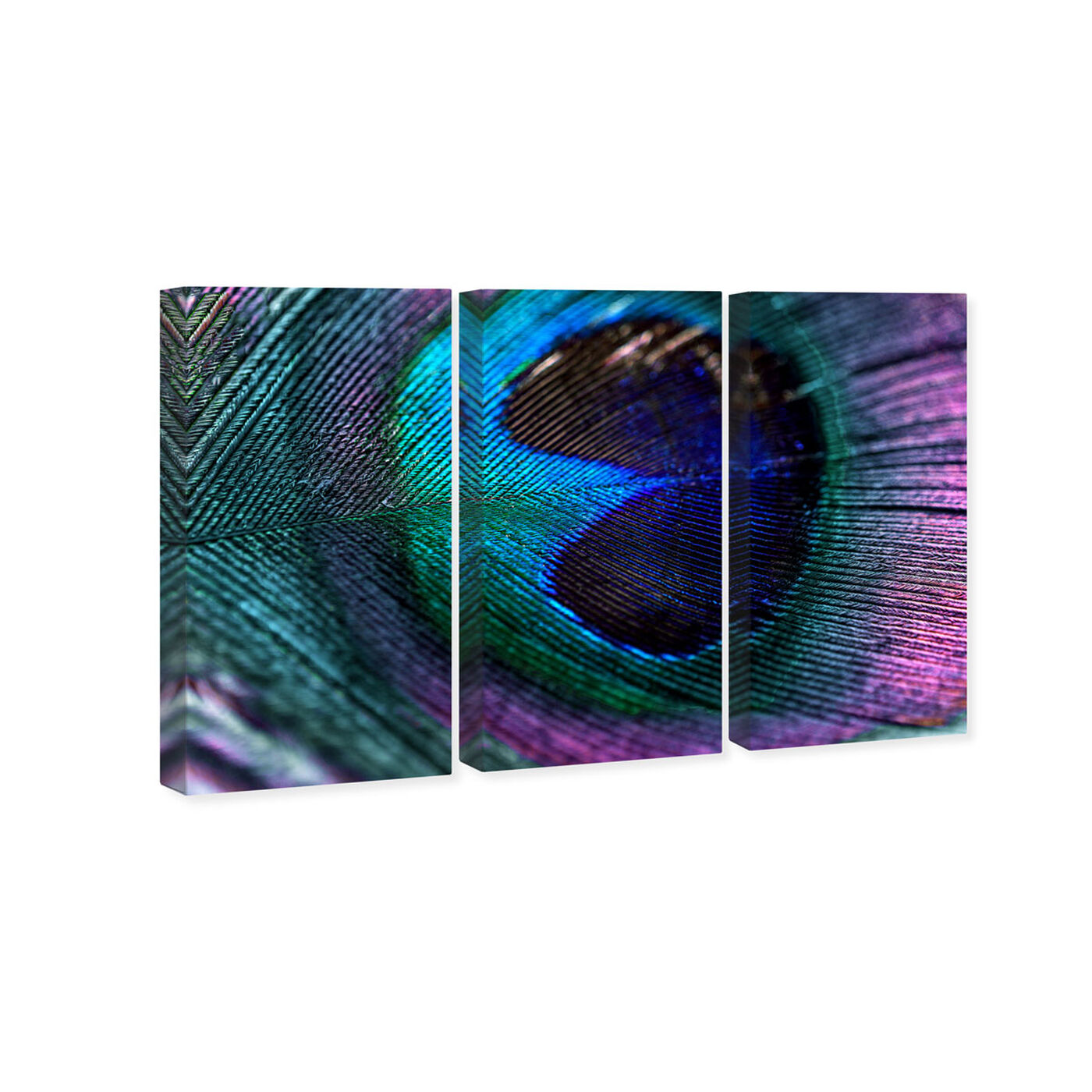 Royal Peacock Feather Triptych 51x34x3 | Animals Wall Art by Oliver Gal