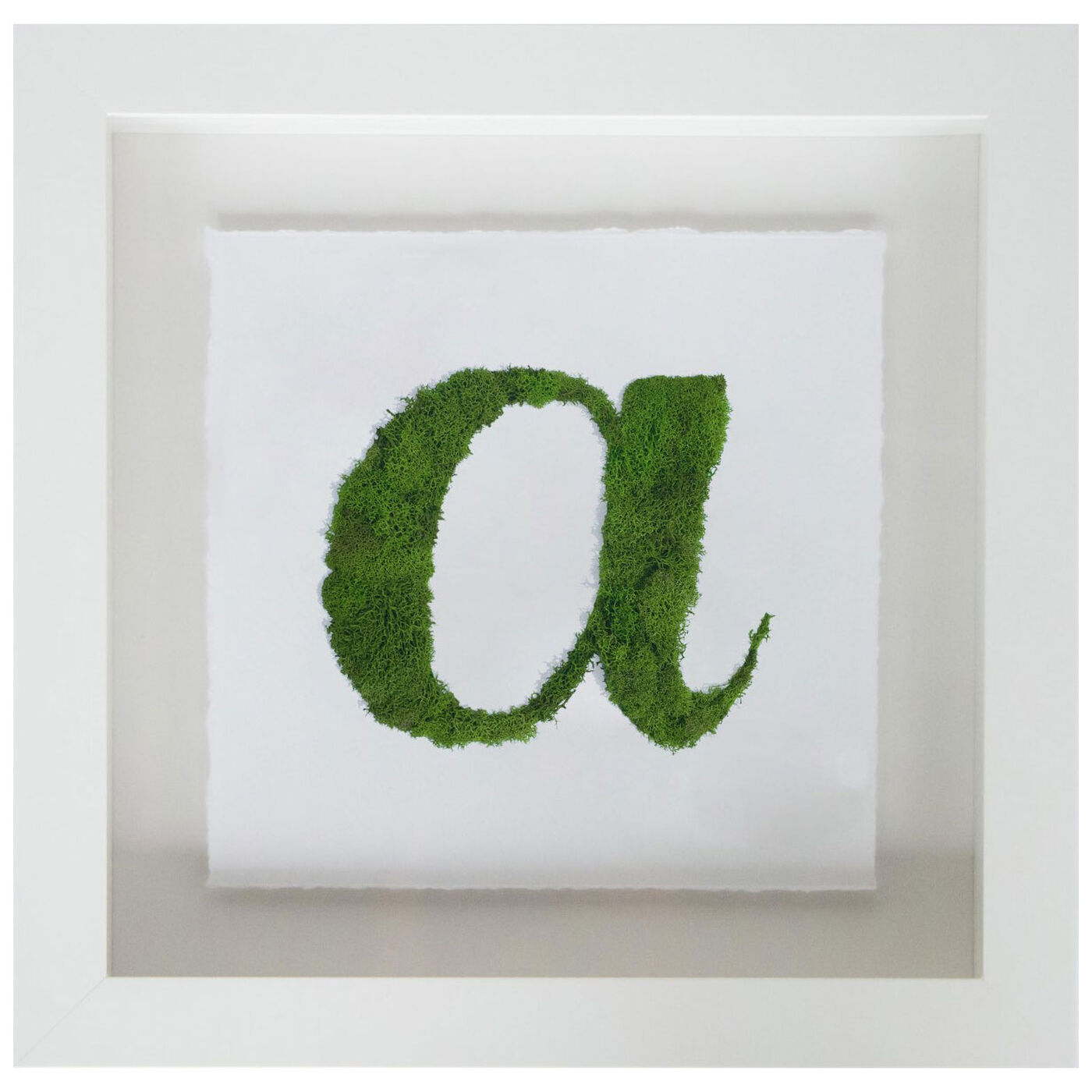 Calligraphy Nature Moss (A-Z)