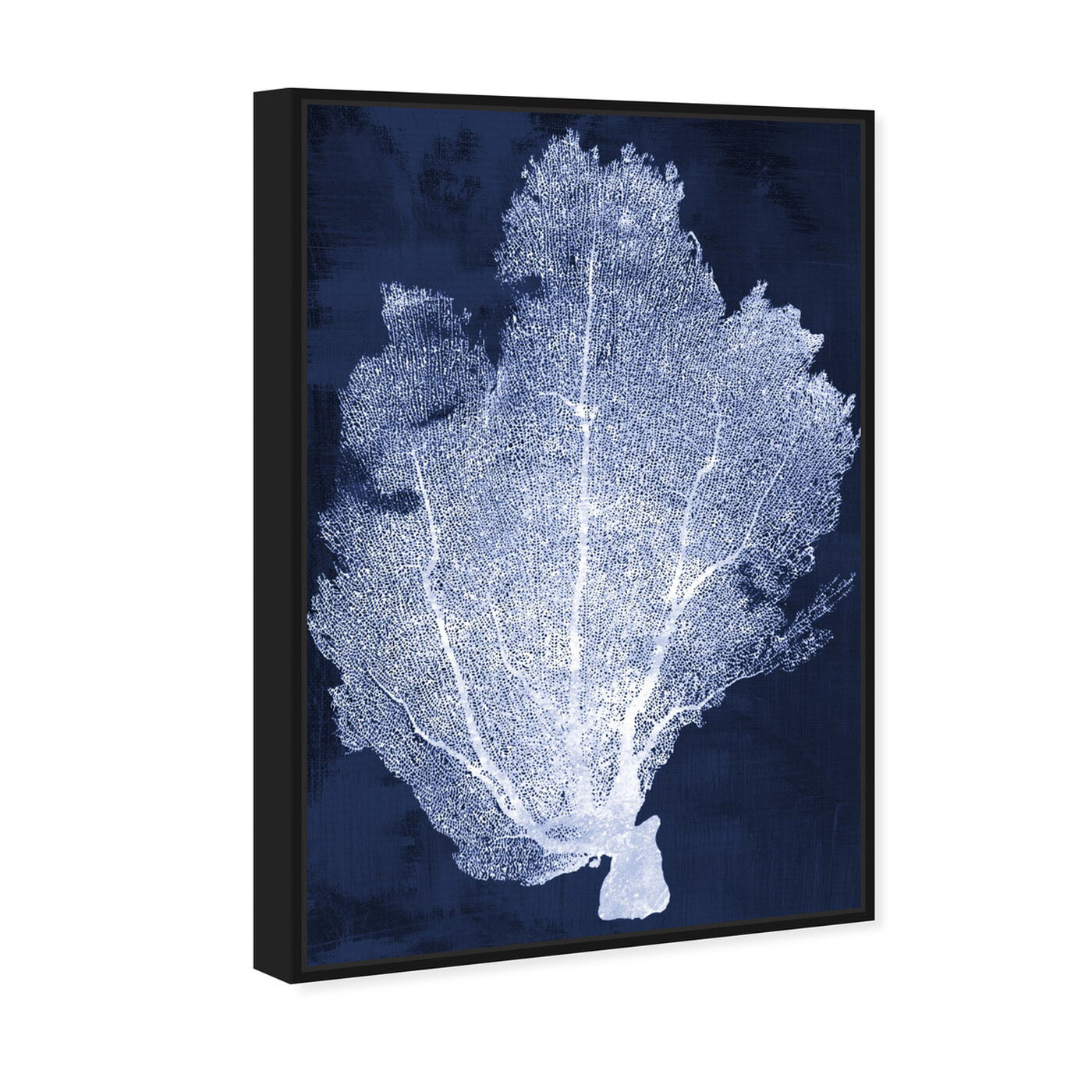 Angled view of Coral Fan Cyanotype 2 featuring nautical and coastal and marine life art.
