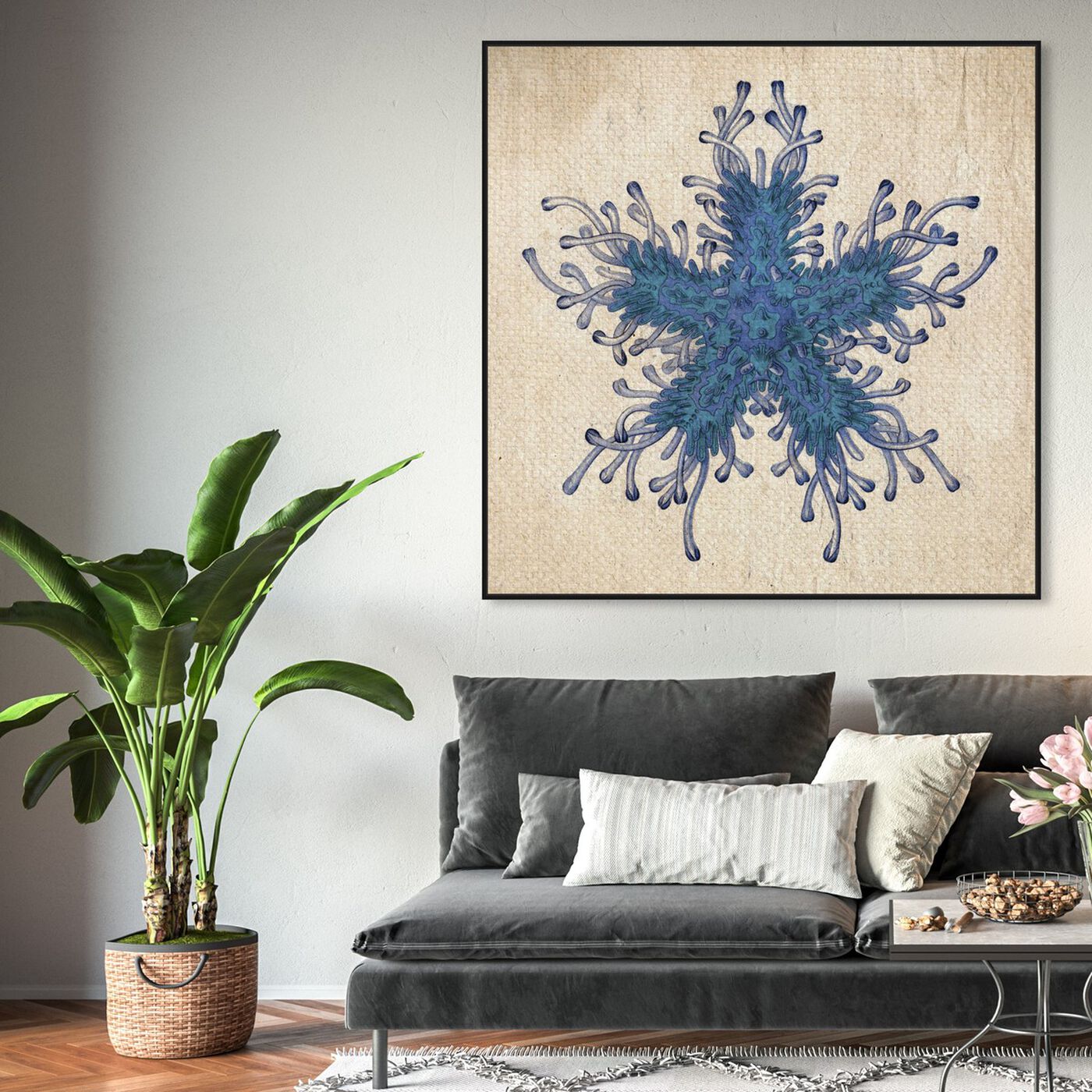 Hanging view of Asteridia I featuring nautical and coastal and marine life art.
