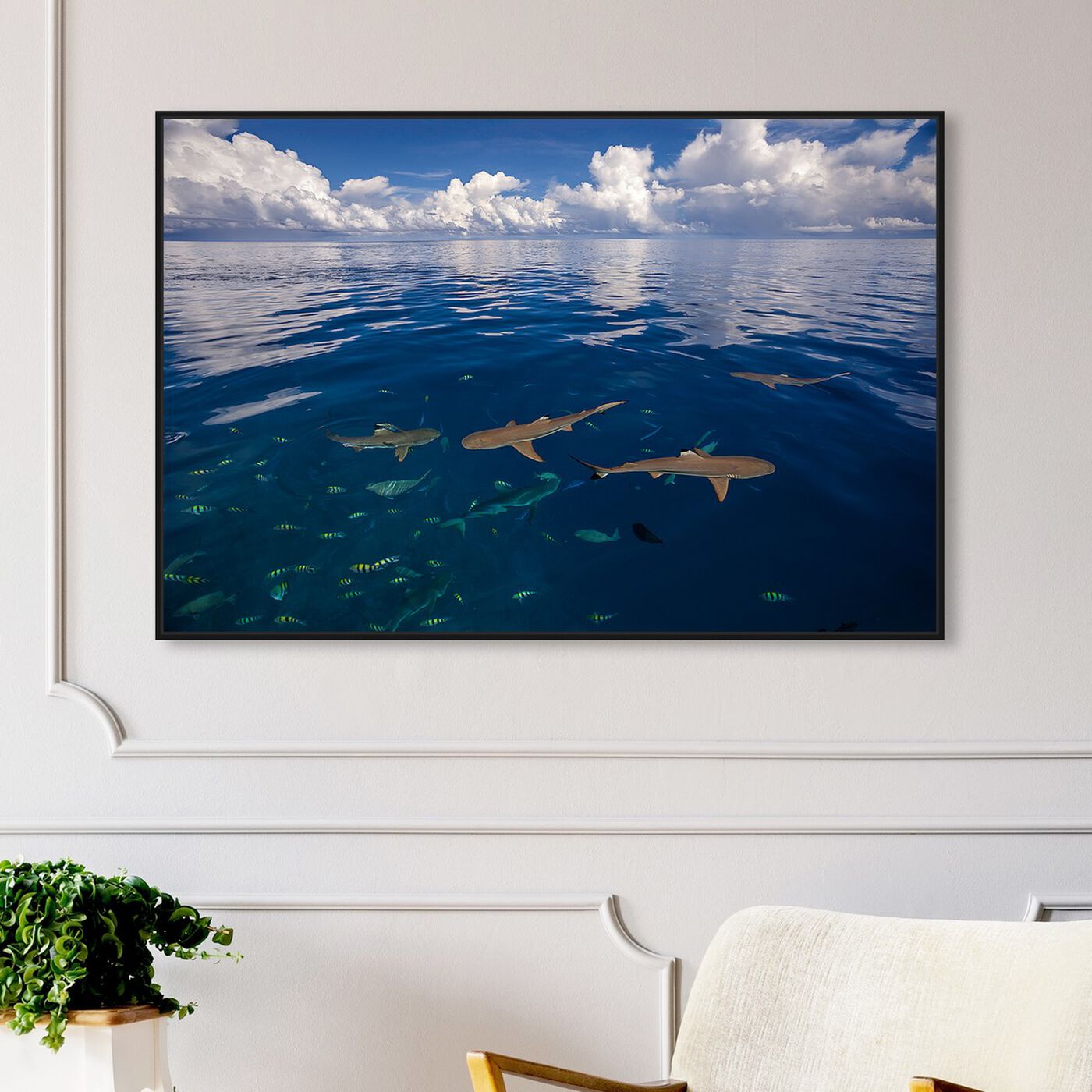 Hanging view of Blacktip Reef Sharks by David Fleetham featuring nautical and coastal and marine life art.