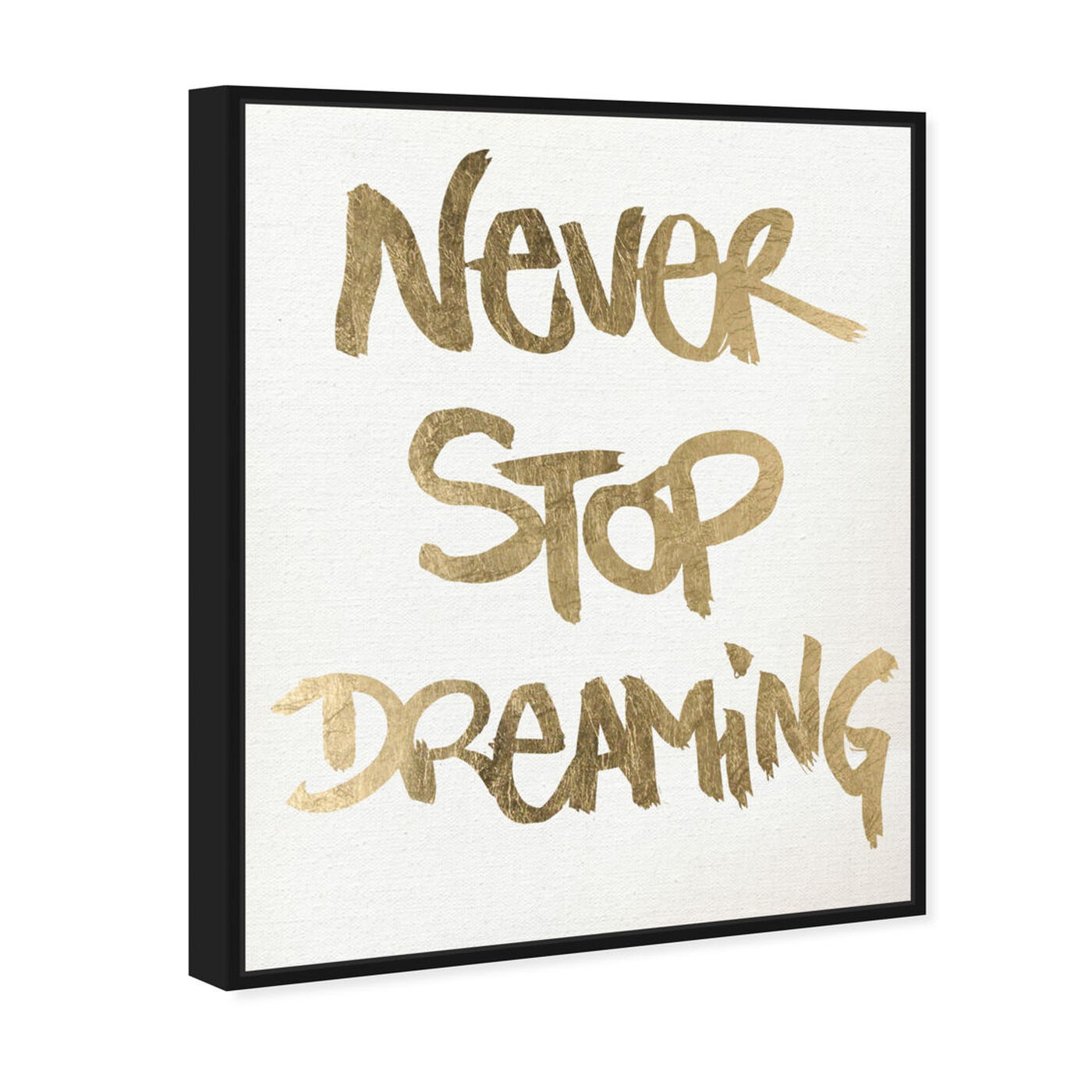 Angled view of Never Stop Dreaming Snow featuring typography and quotes and motivational quotes and sayings art.