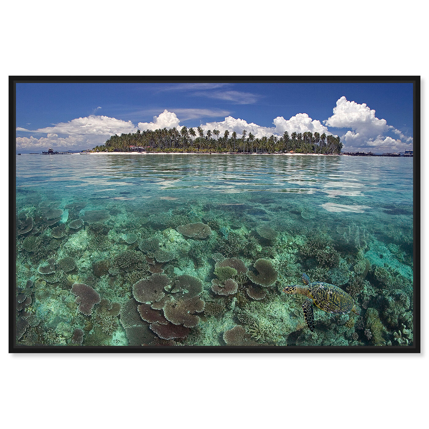Front view of Mabul Island and Turtle by David Fleetham featuring nautical and coastal and coastal landscapes art.
