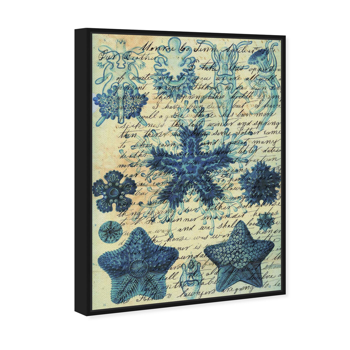 Angled view of Starfish in Blue featuring nautical and coastal and marine life art.