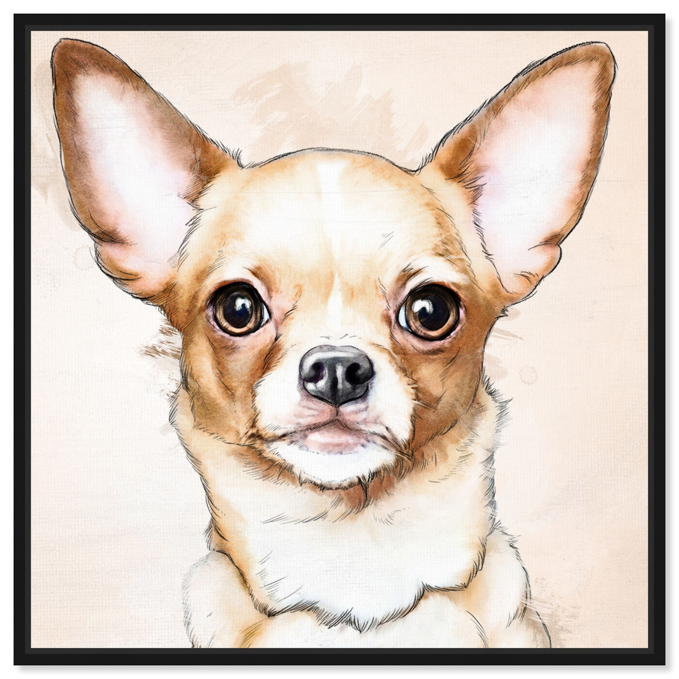 Front view of Chihuahua Watercolor featuring animals and dogs and puppies art.