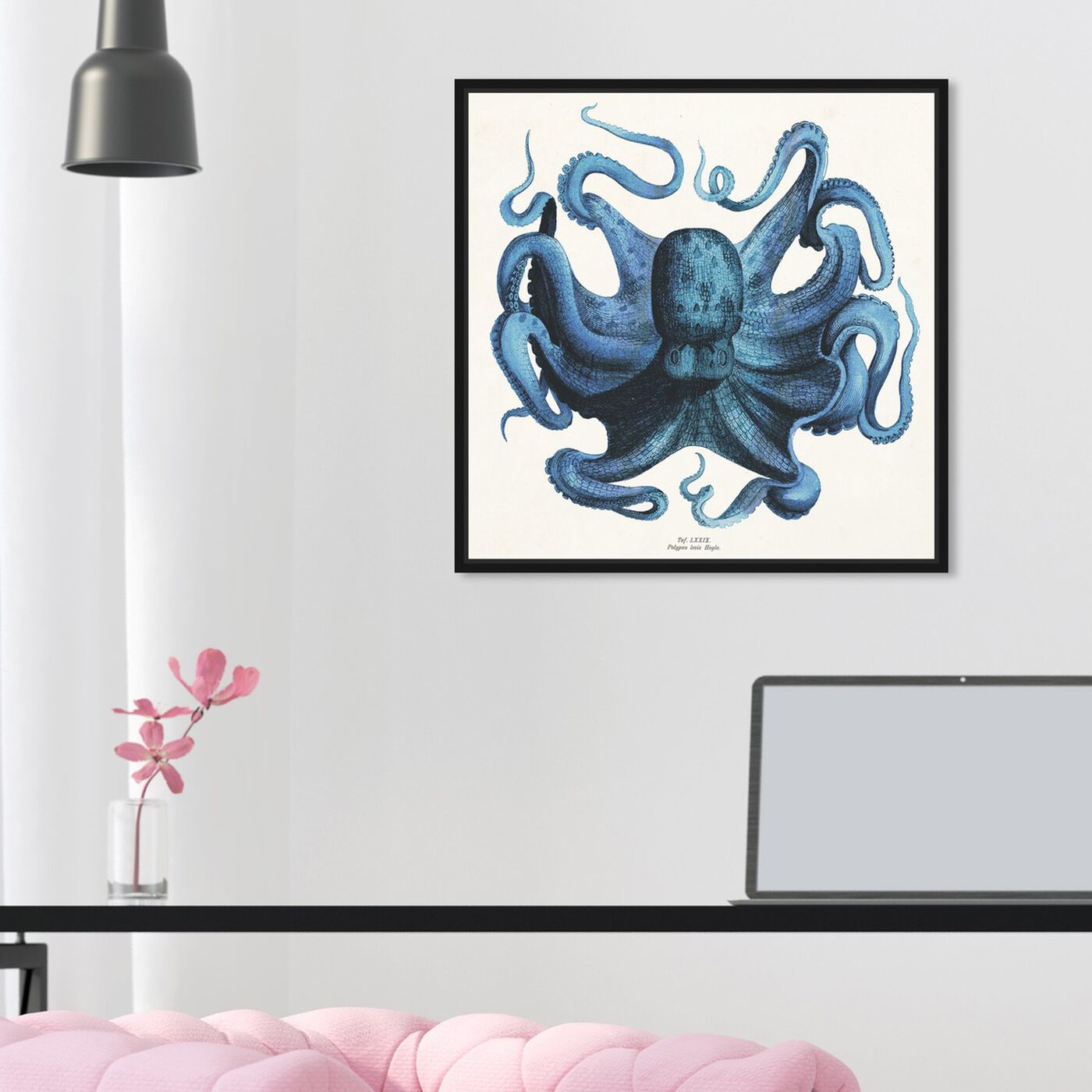 Hanging view of Polpo Blu featuring nautical and coastal and marine life art.