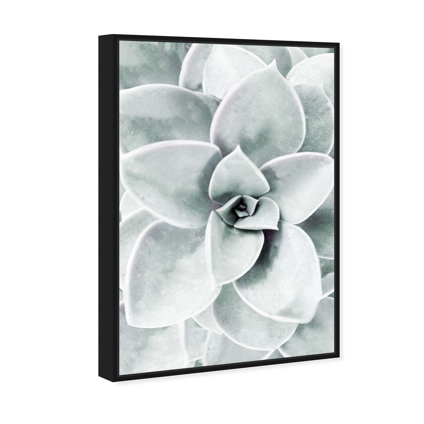 Angled view of Succulent Zoom I featuring floral and botanical and botanicals art.