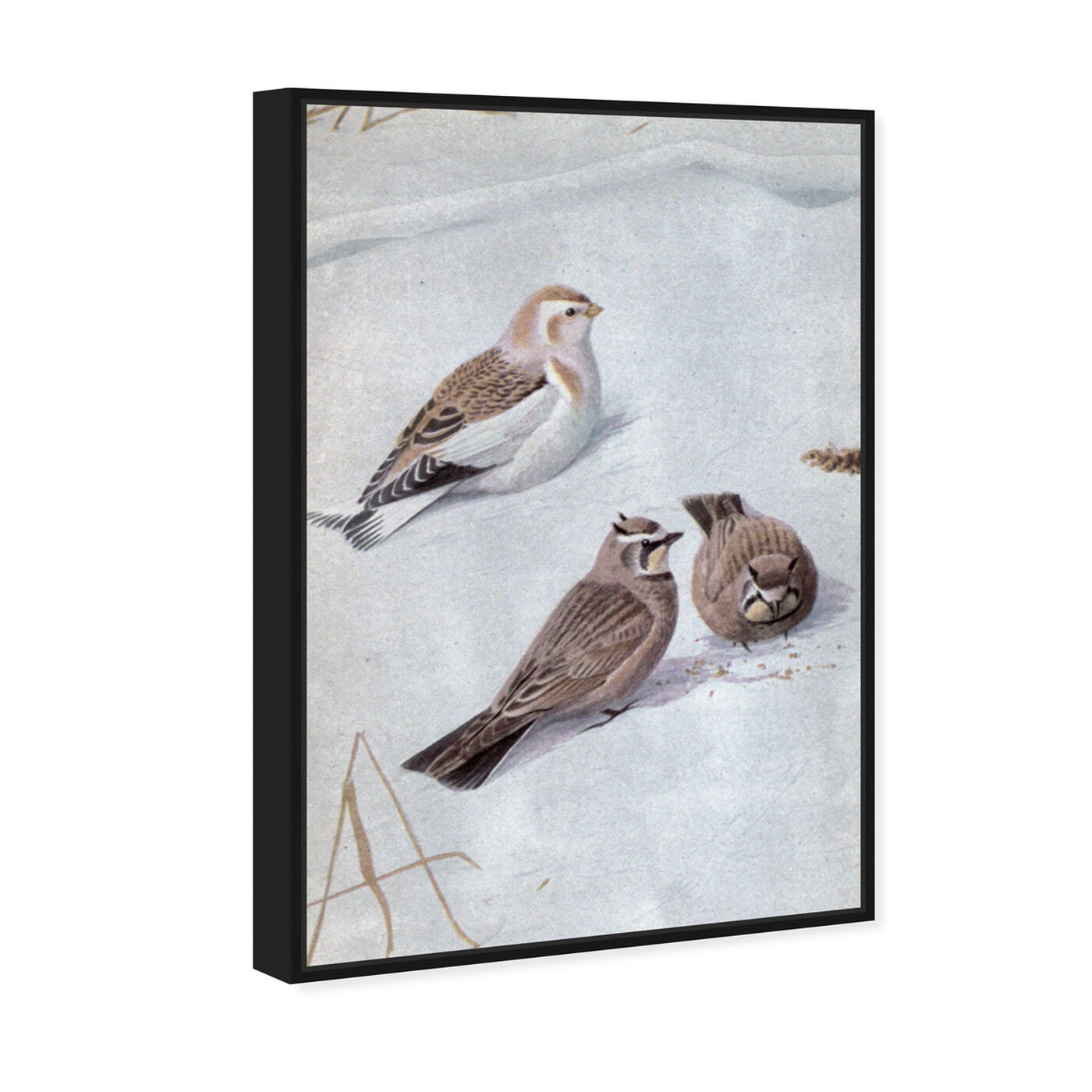 Angled view of Birds in the Snow featuring animals and birds art.