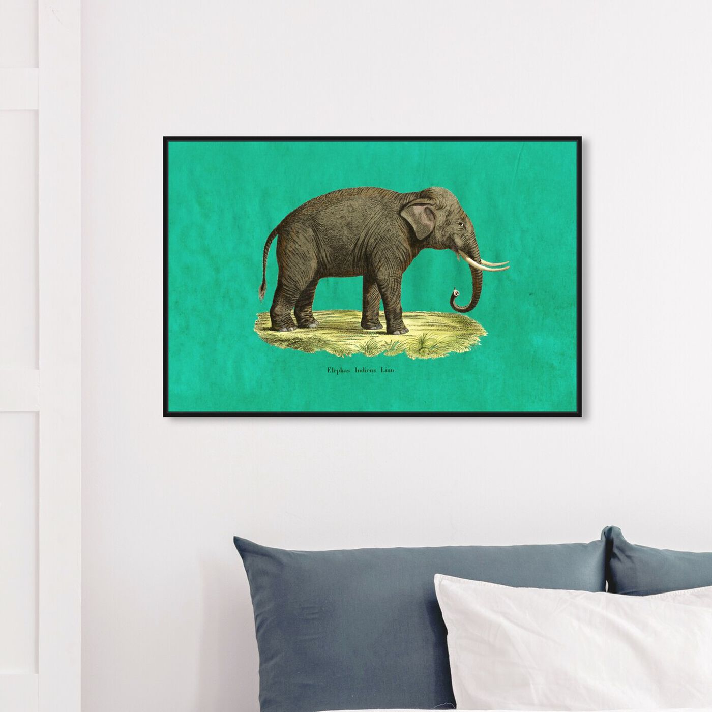 Hanging view of Elephant I featuring animals and zoo and wild animals art.
