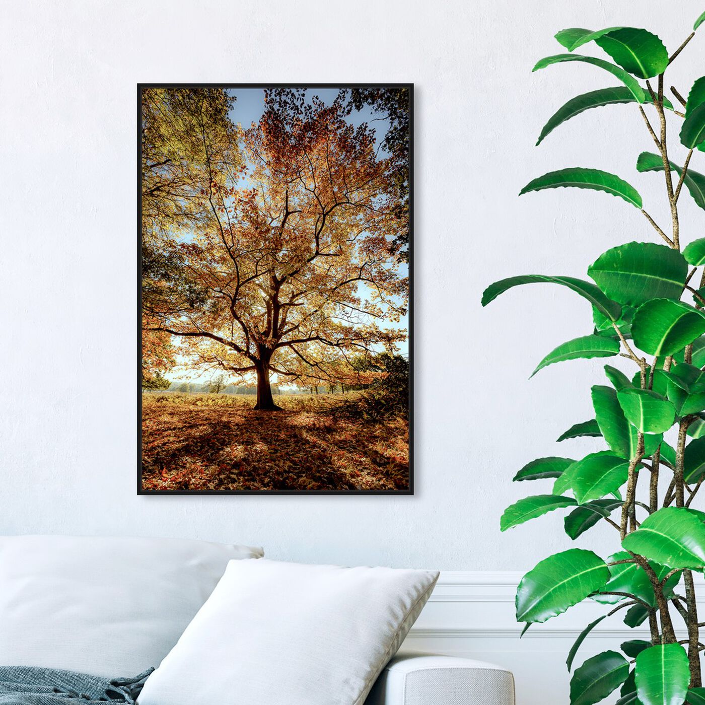 Hanging view of Curro Cardenal - Wisdom Tree II featuring nature and landscape and forest landscapes art.