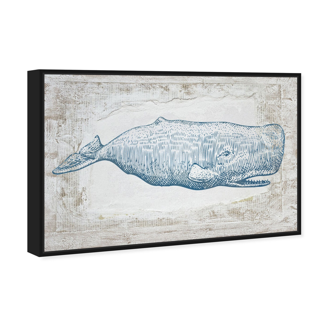 Angled view of Blue Whale featuring nautical and coastal and marine life art.