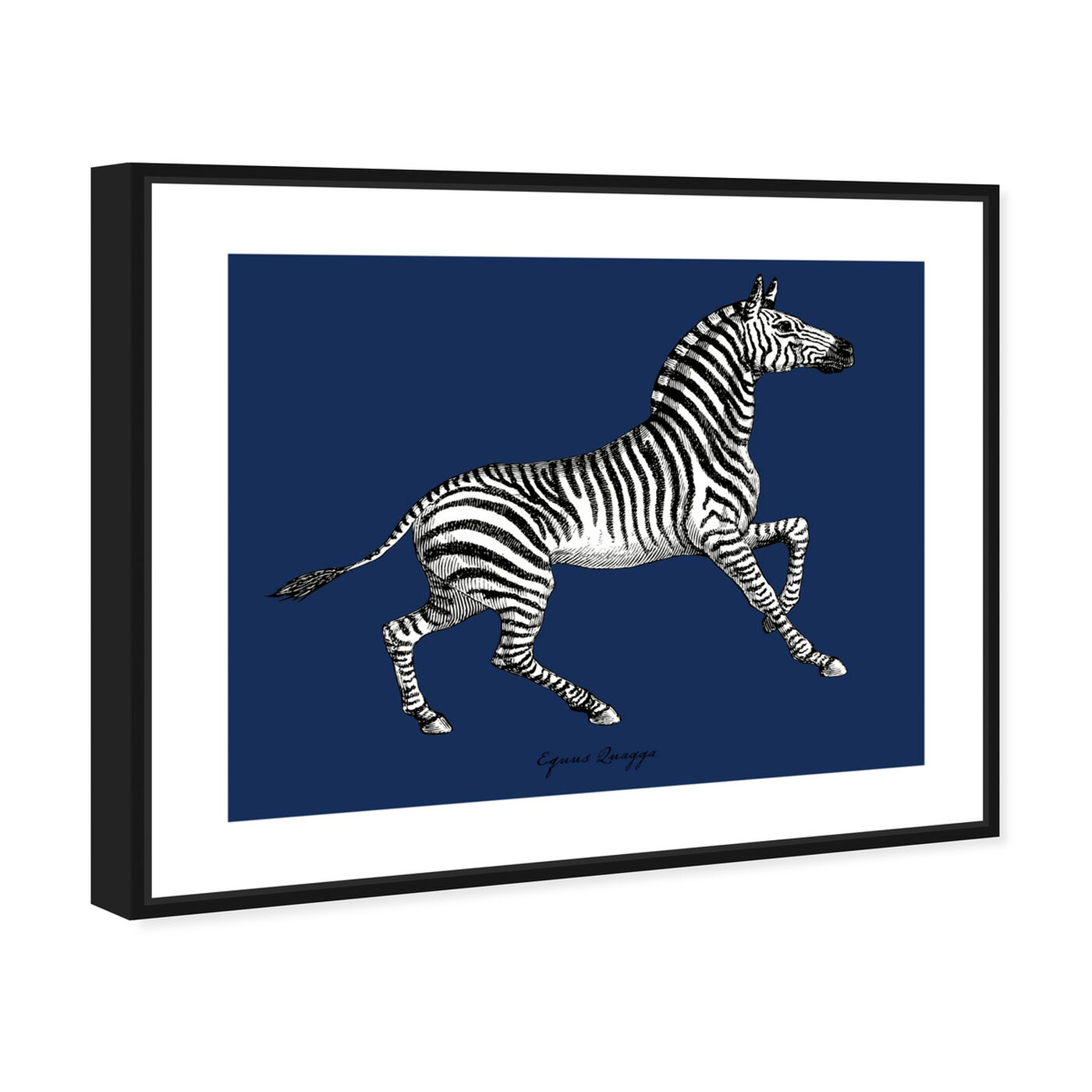 Angled view of Equus Quagga II featuring animals and zoo and wild animals art.