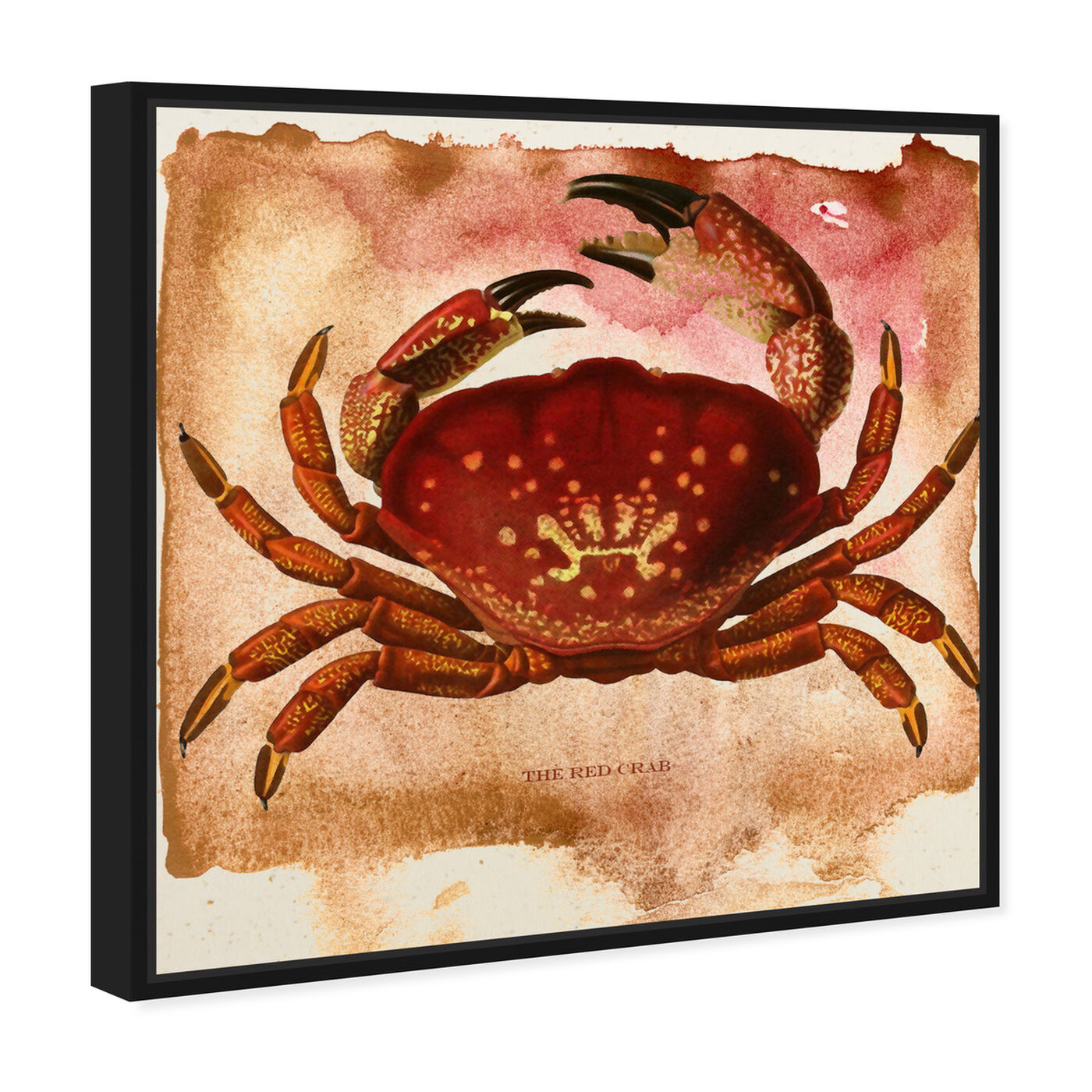 Angled view of The Red Crab II featuring animals and sea animals art.