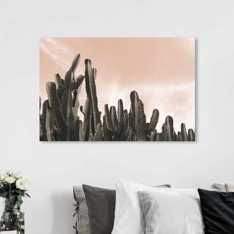 Dream Landscape Cactus Desert