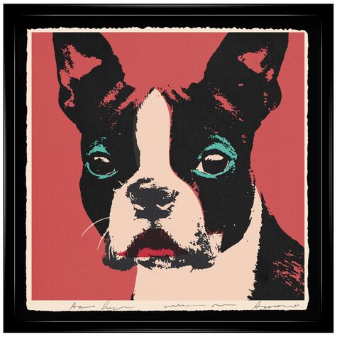 Doggy Warhol By Carson Kressley