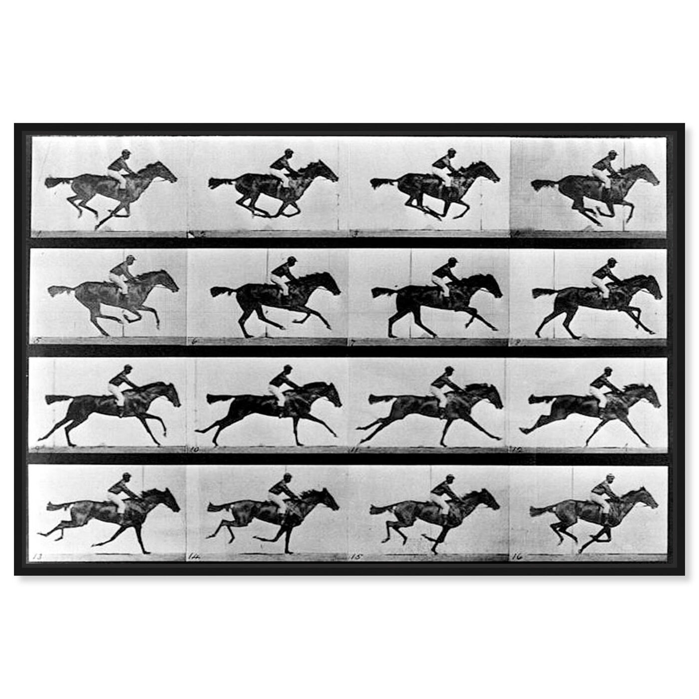 Front view of Horse In Motion II featuring animals and farm animals art.