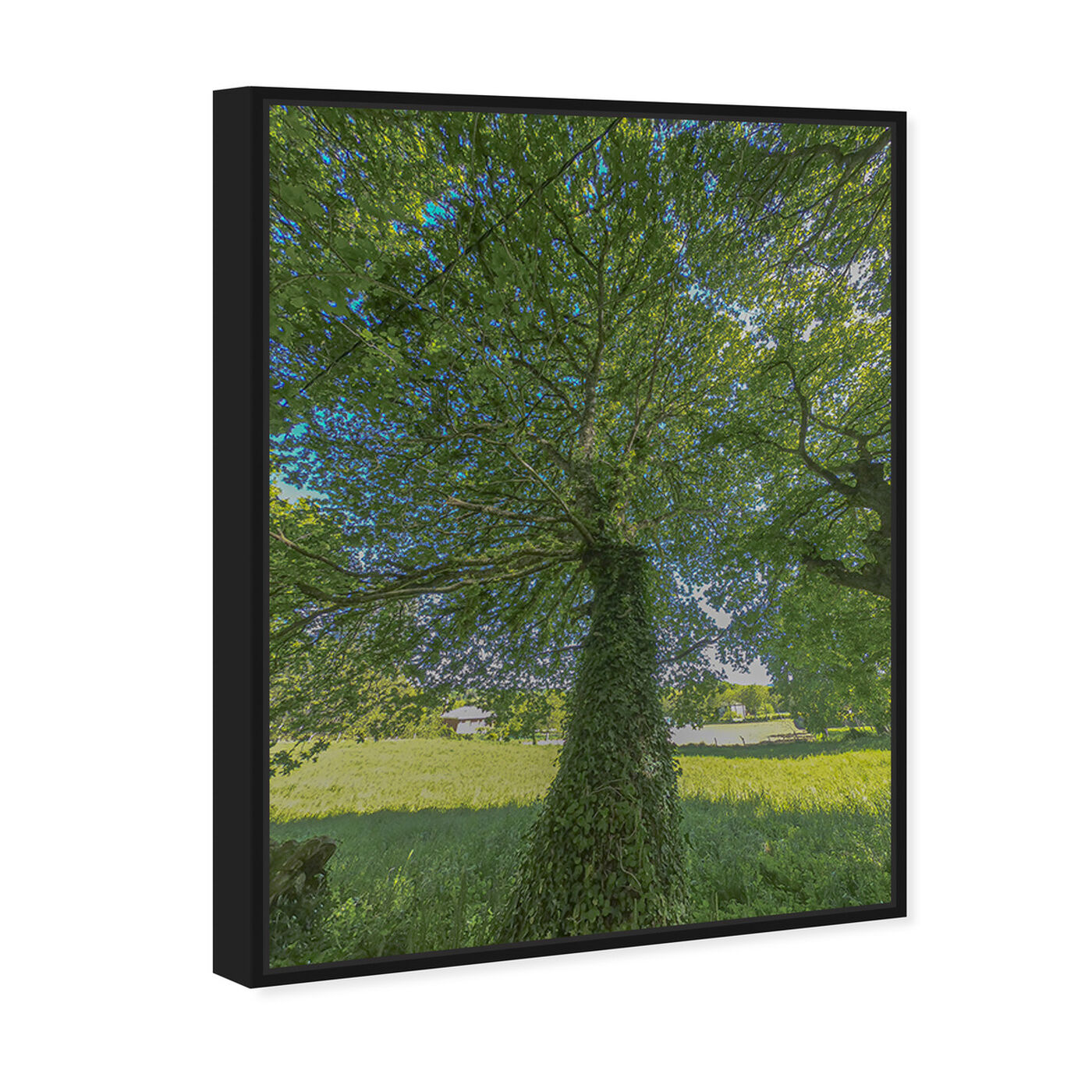 Angled view of Curro Cardenal - One Great Green I featuring floral and botanical and trees art.